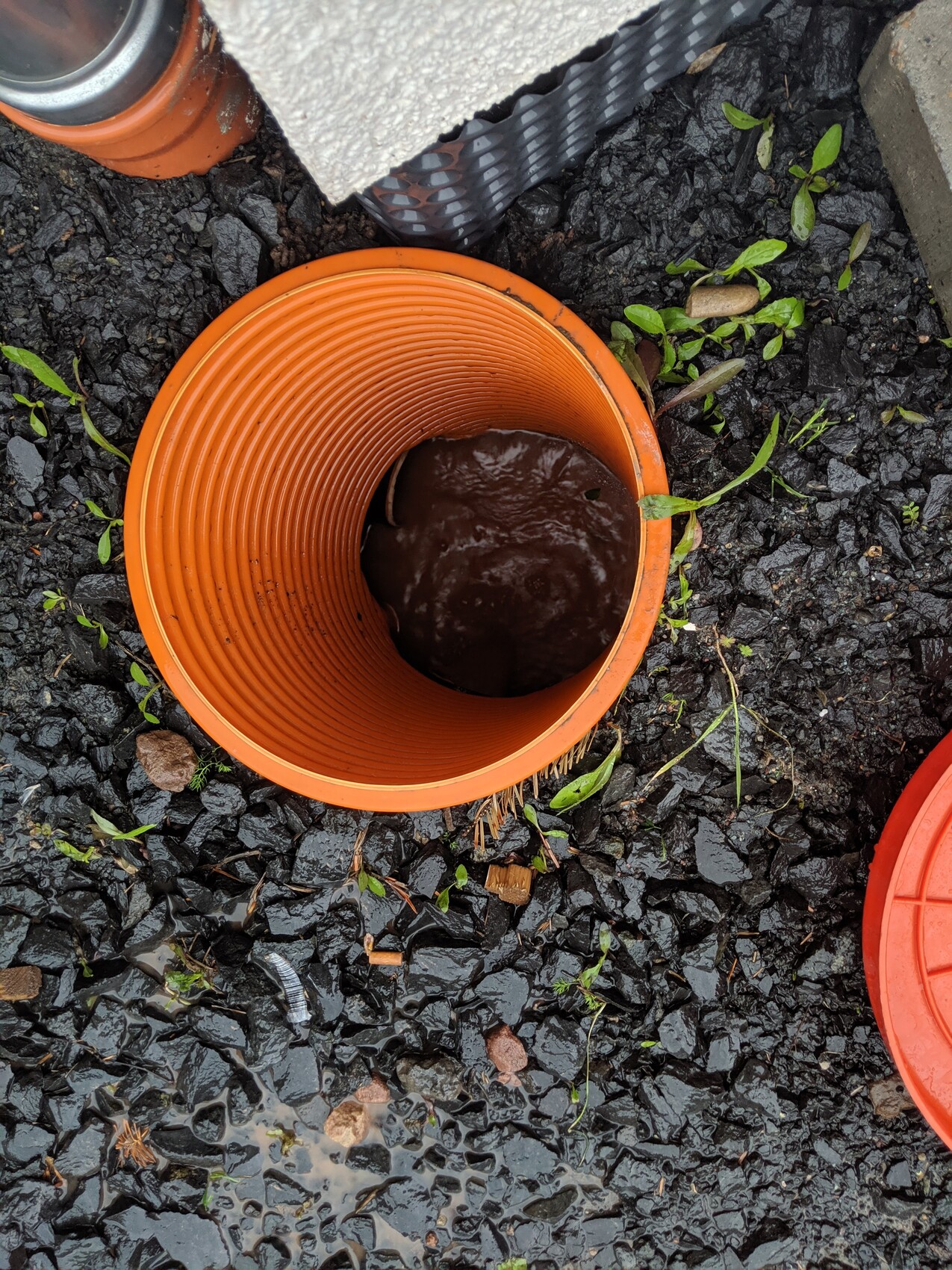 Orangenes Rohr mit Innenrillen, braunes Wasser darin, Kiesboden drumherum.