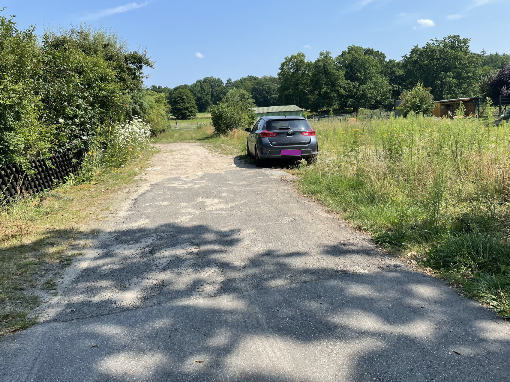 Grauer Pkw steht am Feldweg, links Hecken und Blumen, rechts hohes Gras und Wiese.