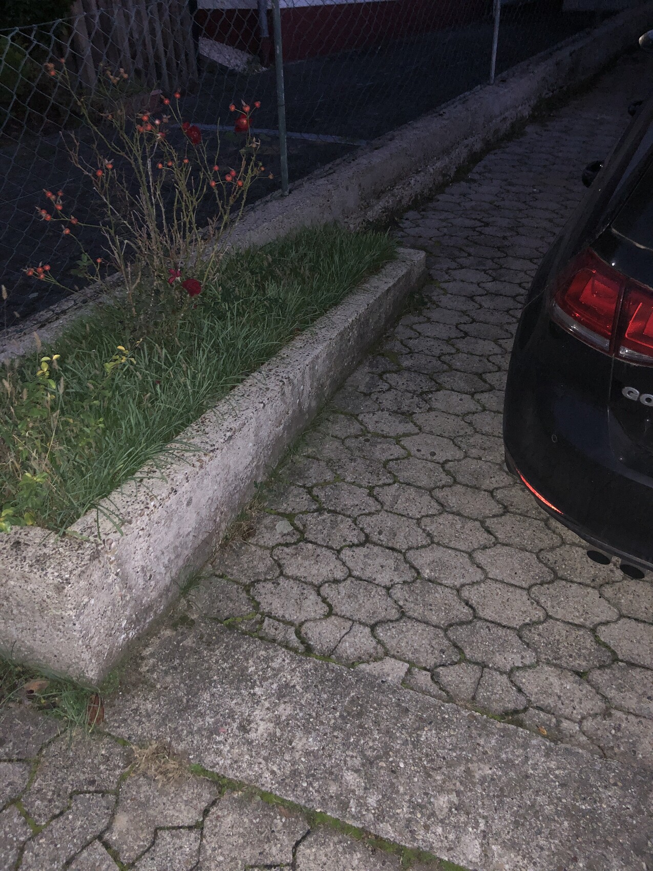 Schwarzes Auto rechts; Parkfläche aus Pflastersteinen neben Beet mit Sträuchern.