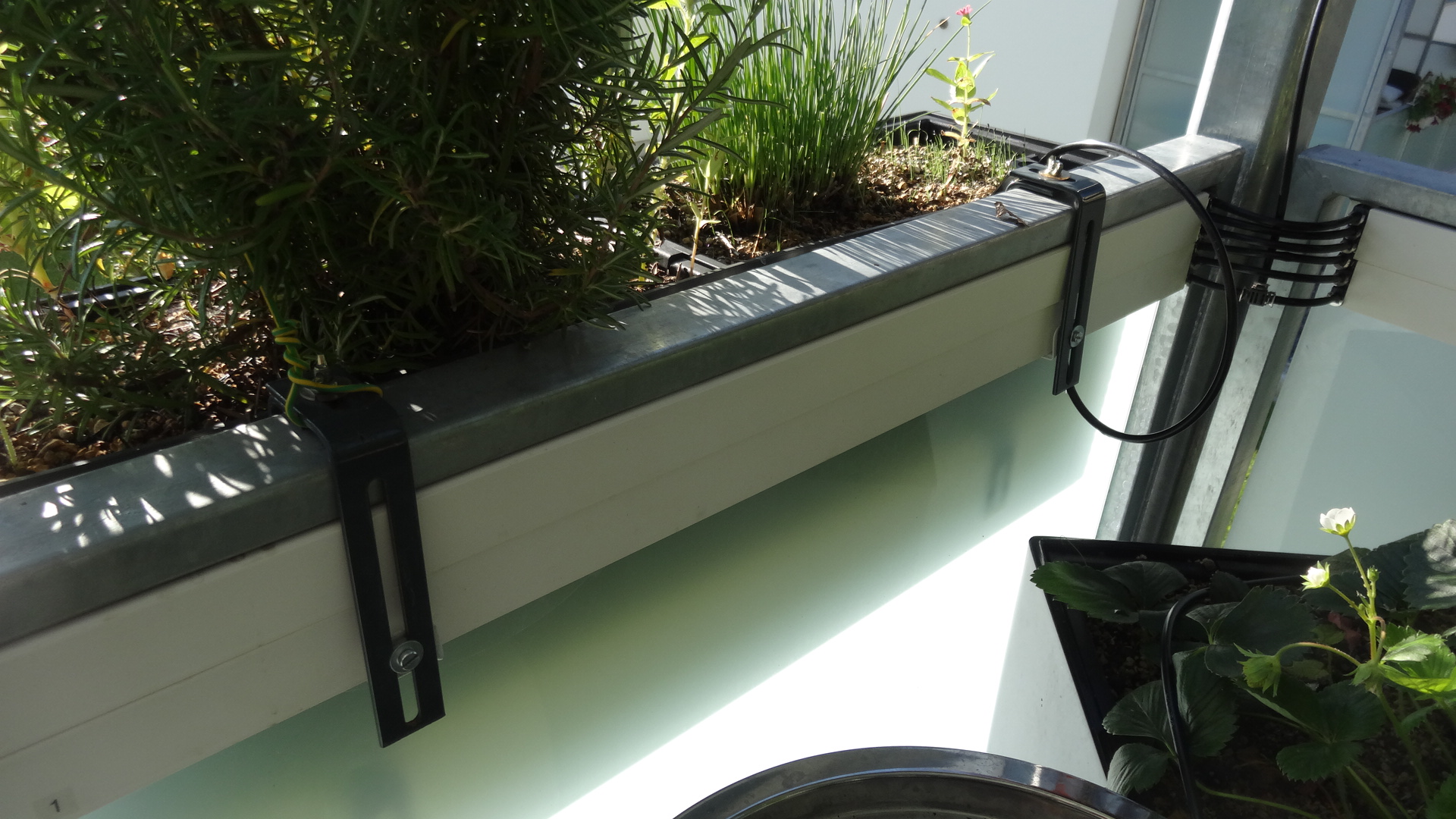 pflanzenbewaesserung-mit-rohren-auf-balkon-147498-4.JPG