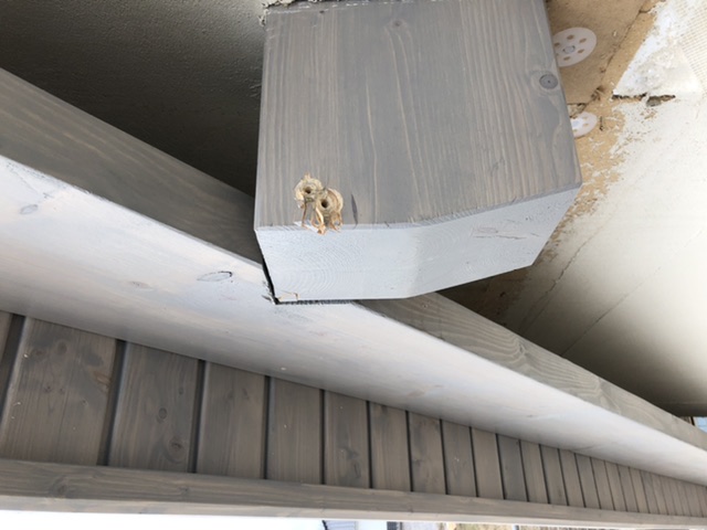 pfusch-beim-zusammenbau-des-dachgeruestes-482158-3.jpeg