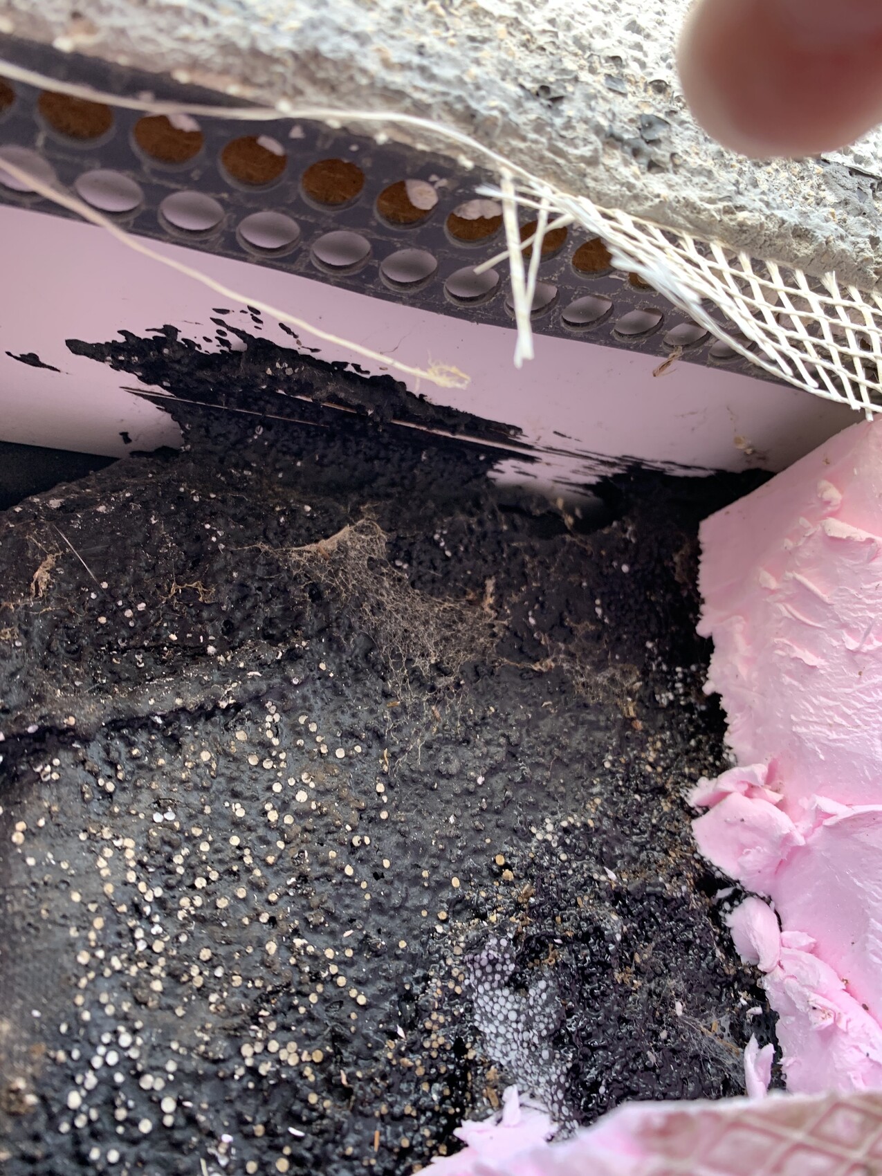 Baudetail mit rosa Dämmplatten, schwarzer Bodenabdichtung und Metallkante im Baubereich.