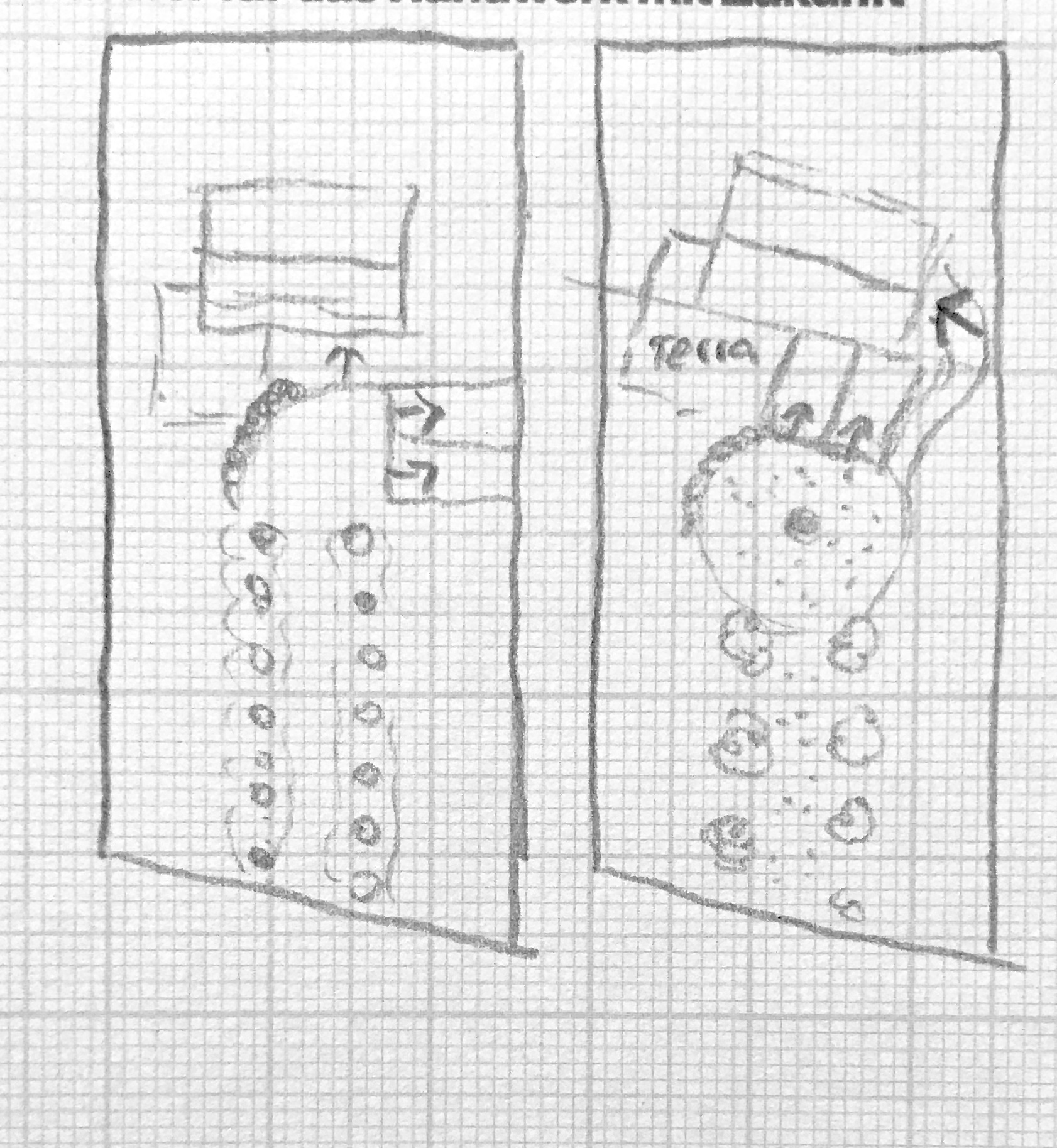 platzierung-haus-und-garage-auf-leerem-grundstueck-ideen-274223-1.jpeg