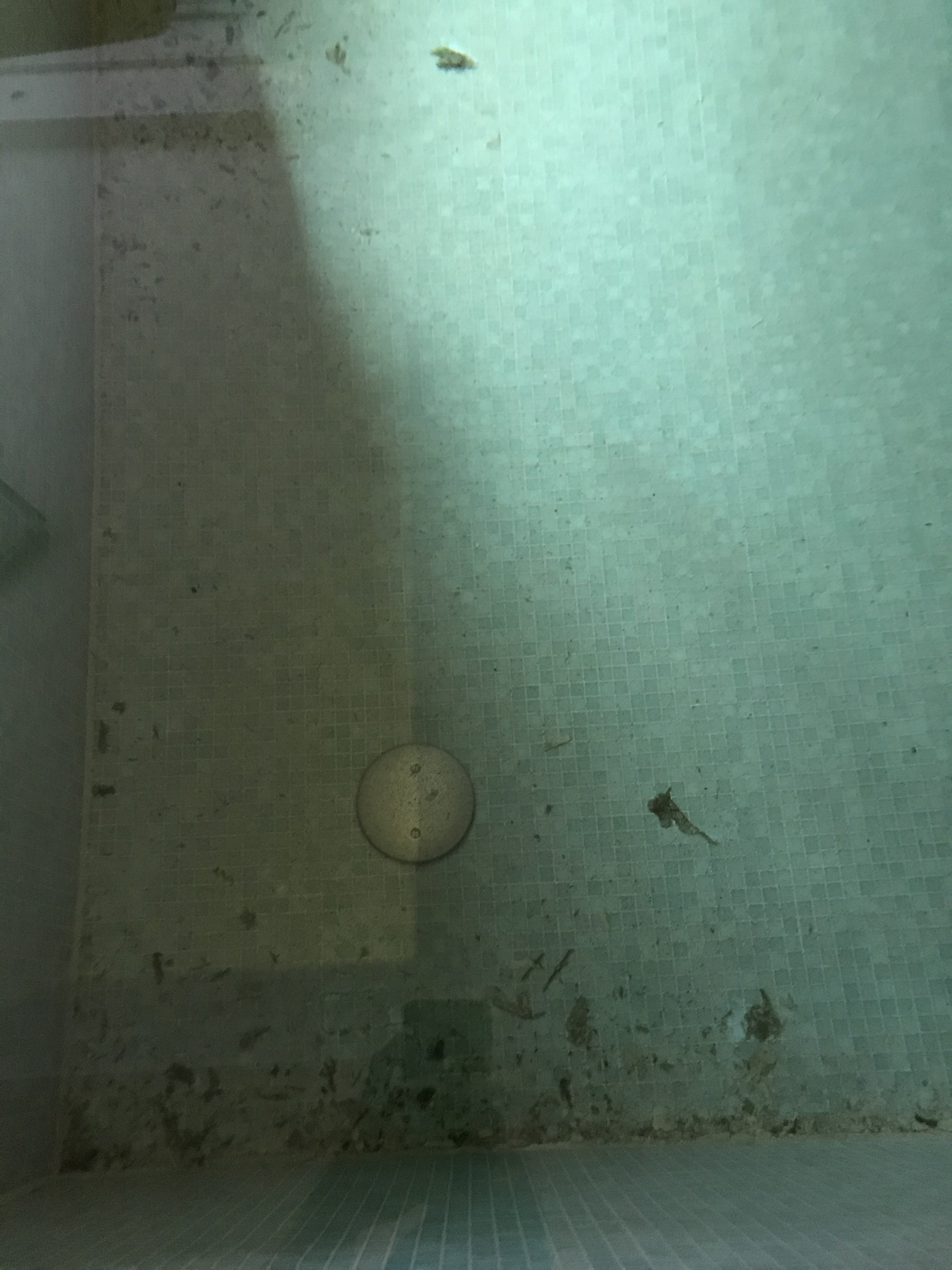 poolanlage-saeubern-und-luftentfeuchter-465447-2.jpg