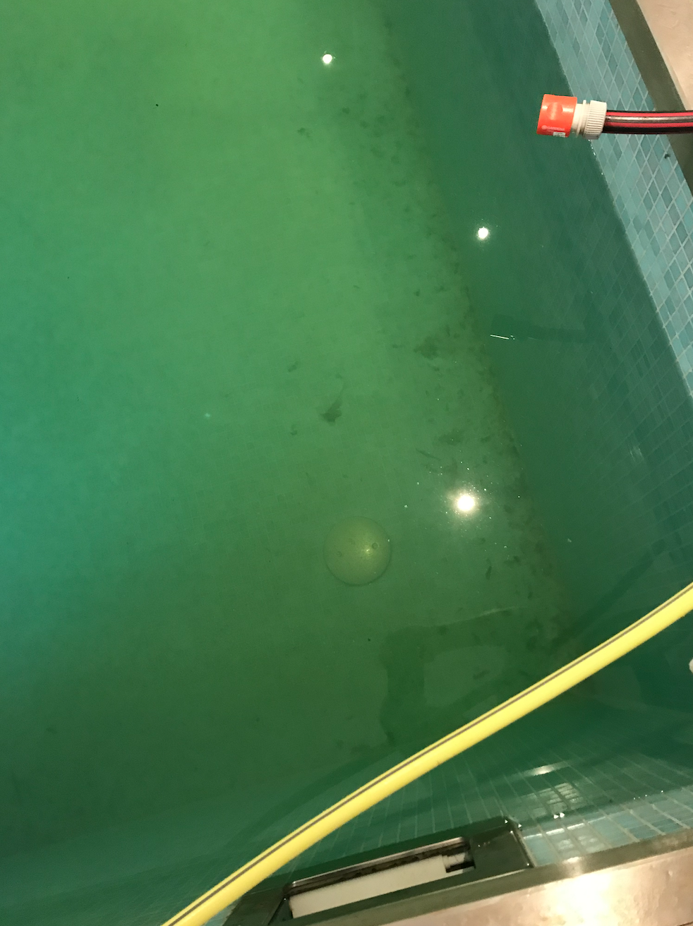 poolanlage-saeubern-und-luftentfeuchter-511133-6.png