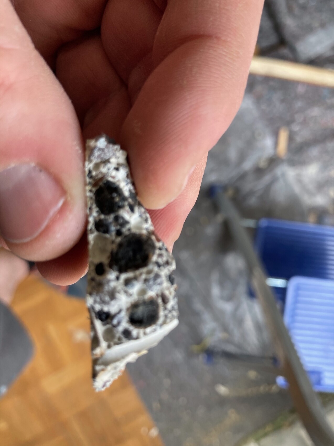 Kleines Gesteinsfragment mit weißer Matrix und schwarzen Vesikeln, porös.
