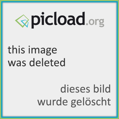 praxistaugliche-groesse-fuer-fenster-und-rolladen-238941-1.png