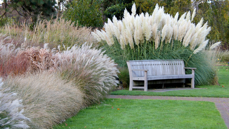 prioritaetensetzung-gartenbau-endgarten-komplette-planen-lassen-259448-3.jpg