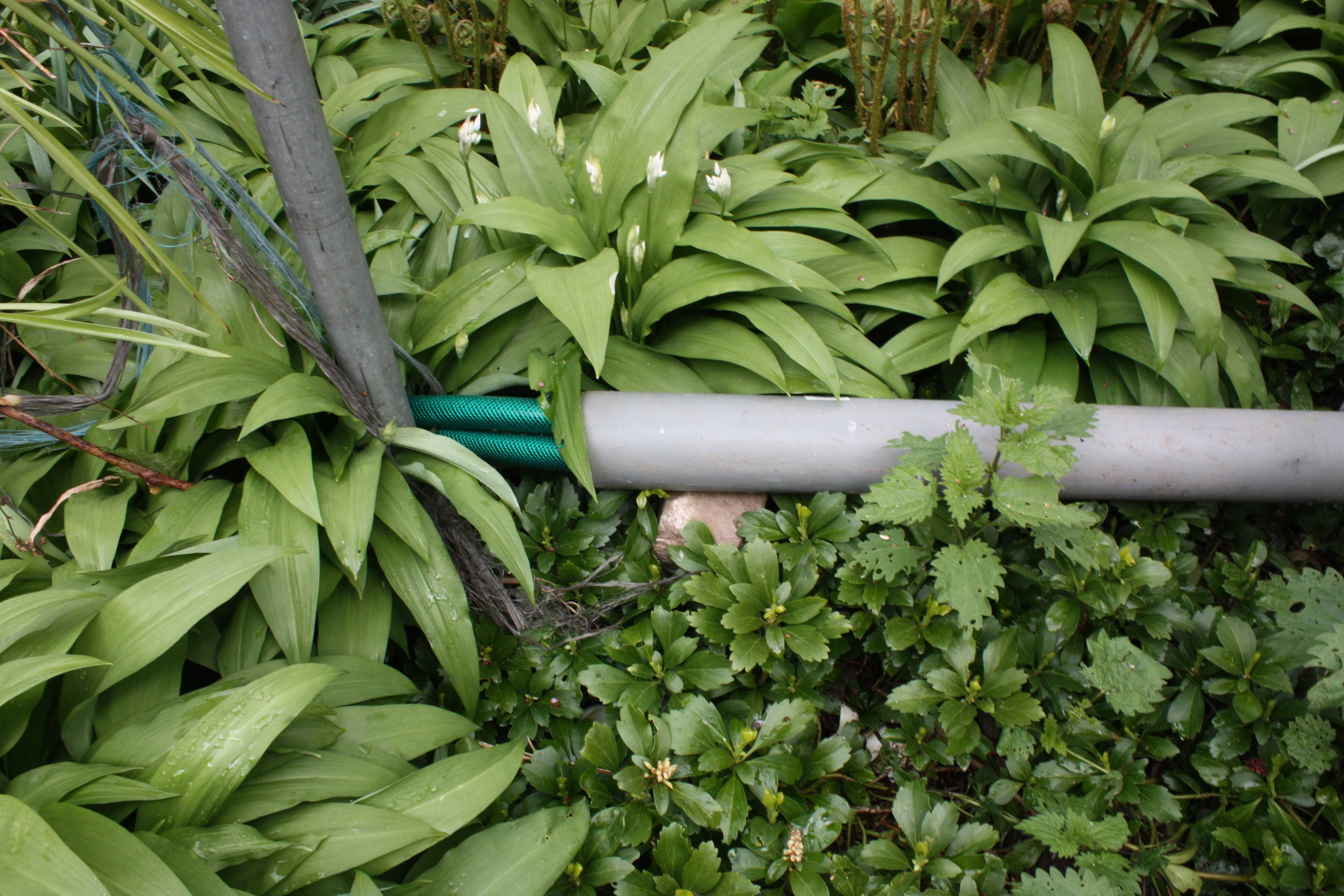problem-mit-hoehe-von-zu-und-ablauf-fuer-4rain-flachtank-5000-liter-201227-2.jpg