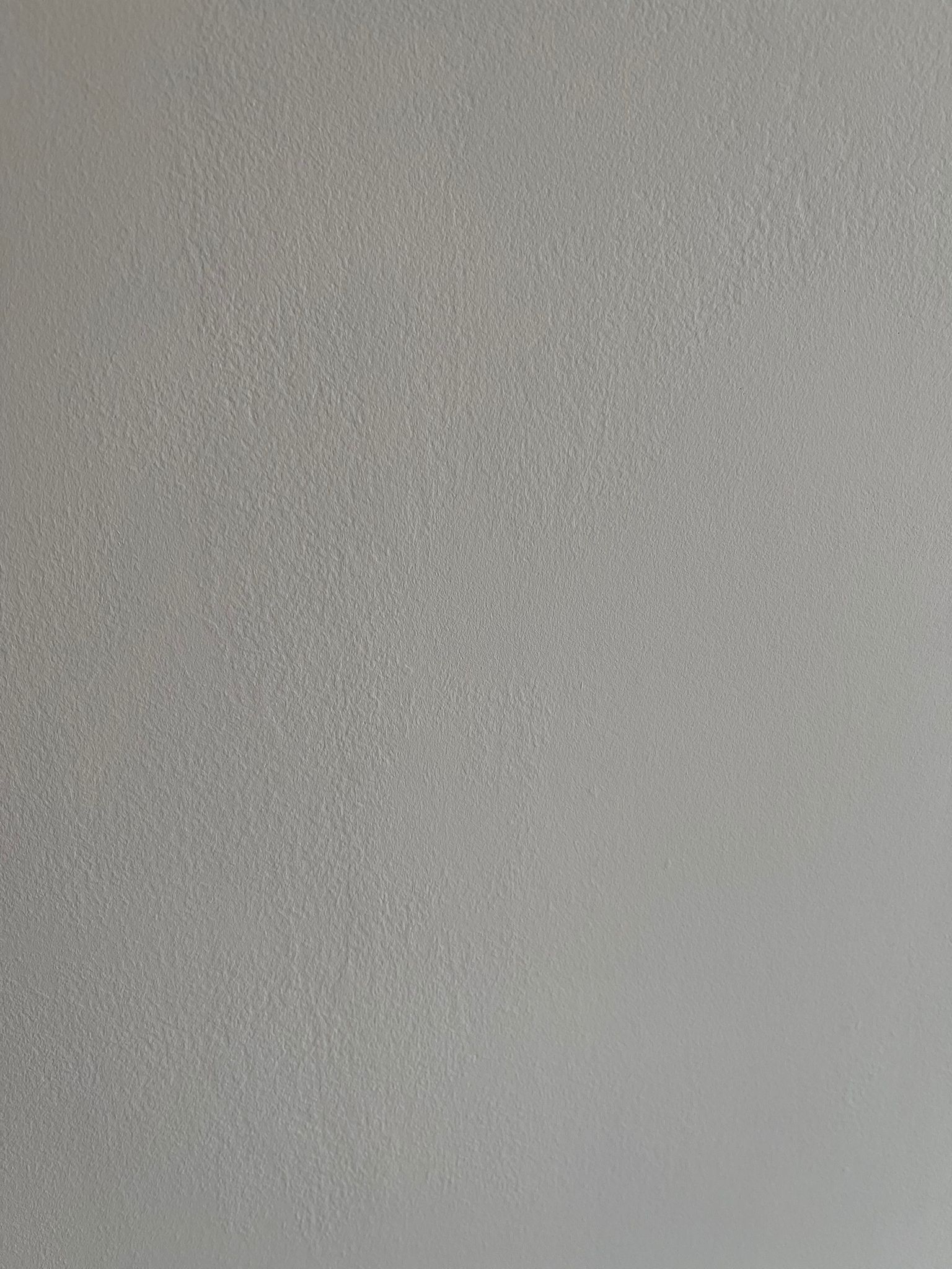 cc6edcbc-e3f1-4fc0-ab2d-6f220d38165b.jpg