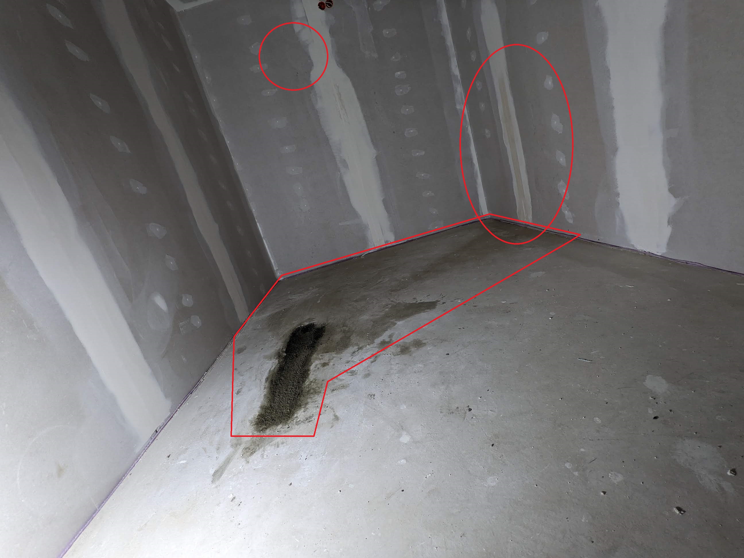 PXL_20220208_162437483.jpg