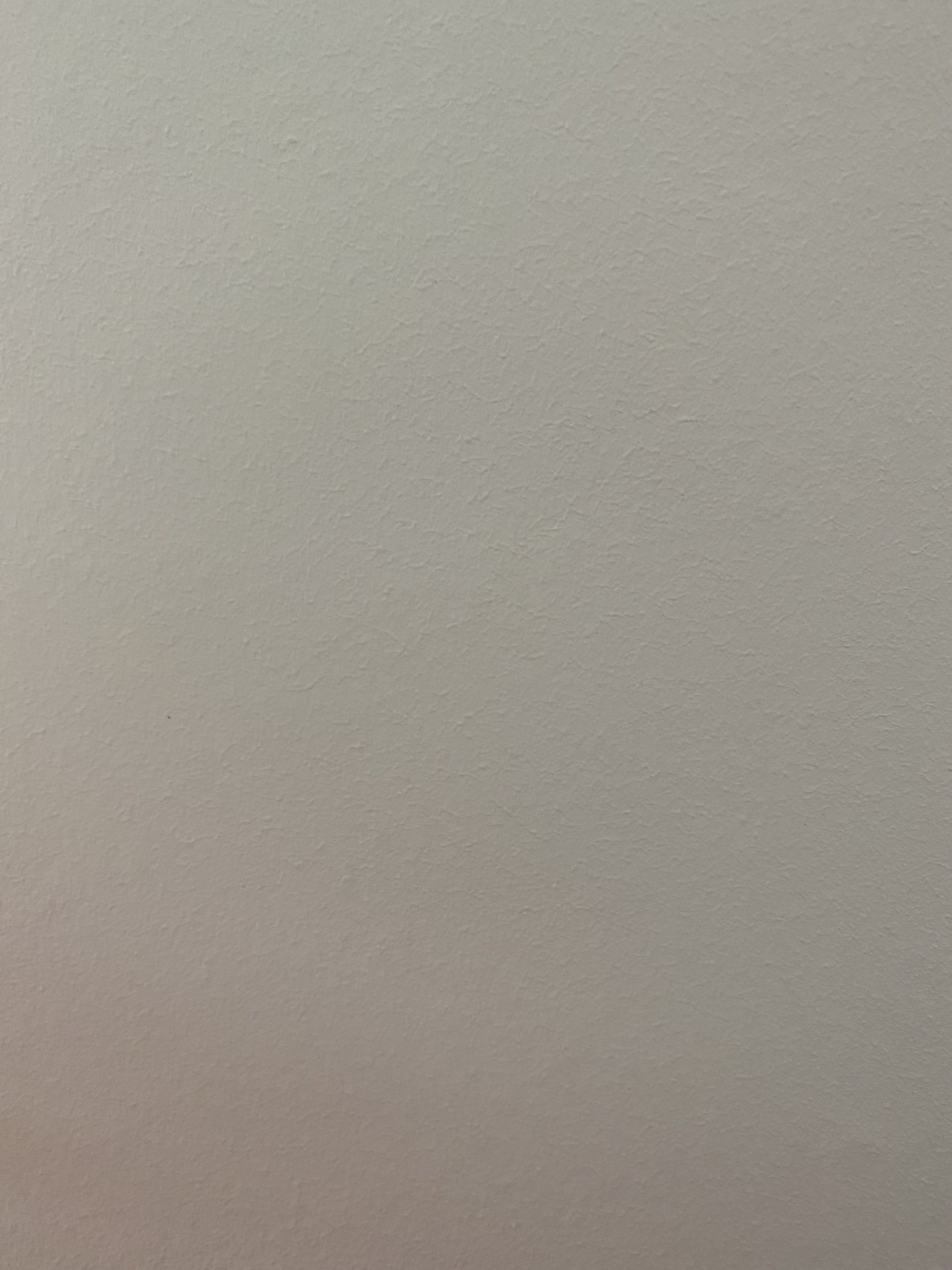 q2-auf-q3-glatt-spachteln-lassen-oder-malervlies-412130-2.jpeg