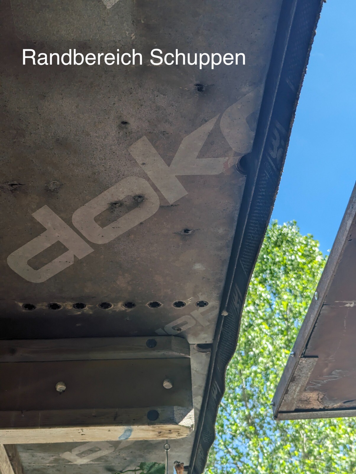 Unterseite eines Schuppendachs: Metallplatte mit Lochreihen, Dachrinne, Himmel und Baum.