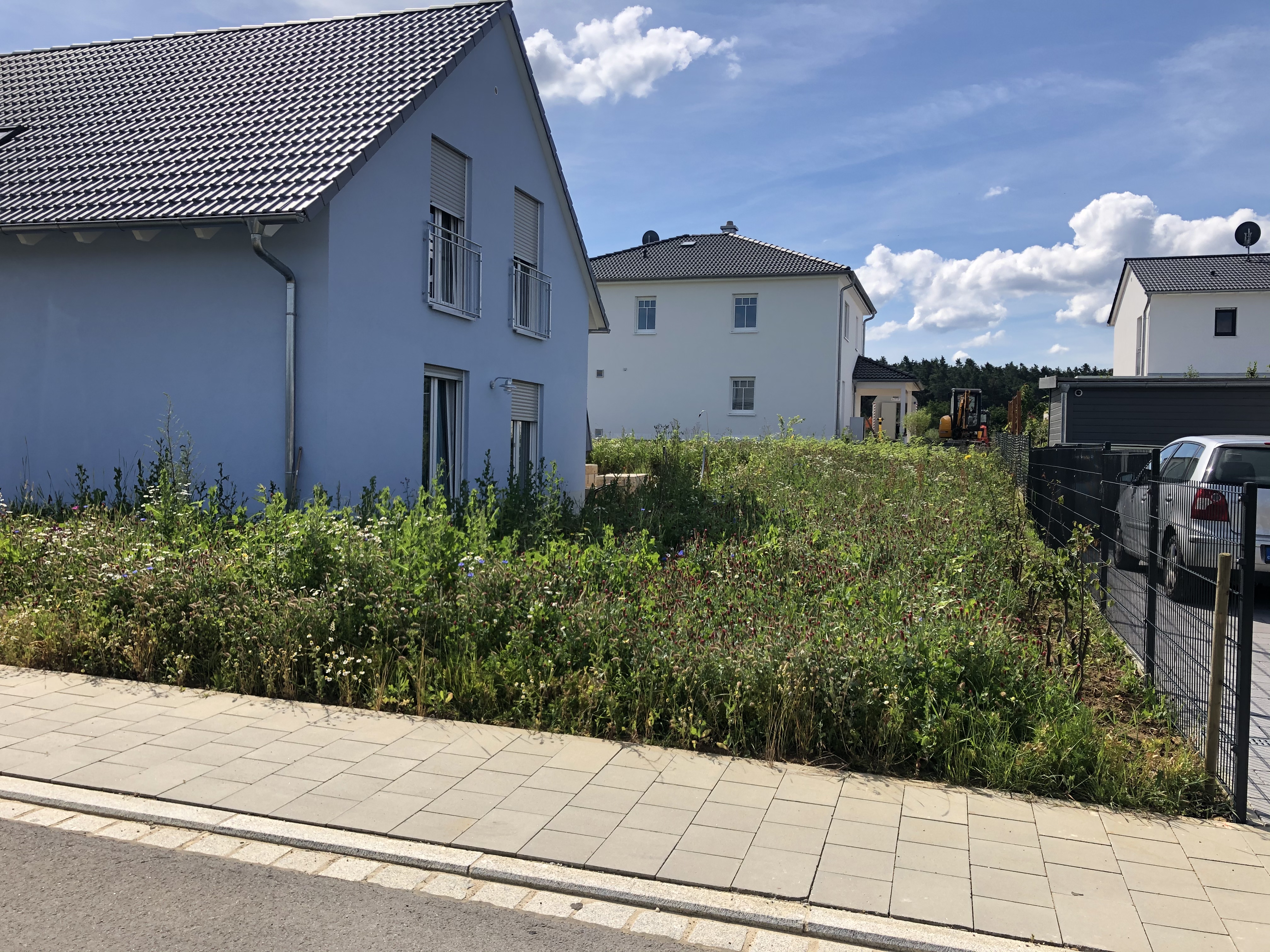 rasenneuanlage-mit-extrem-viel-unkraut-wie-gehts-weiter-419983-1.jpeg