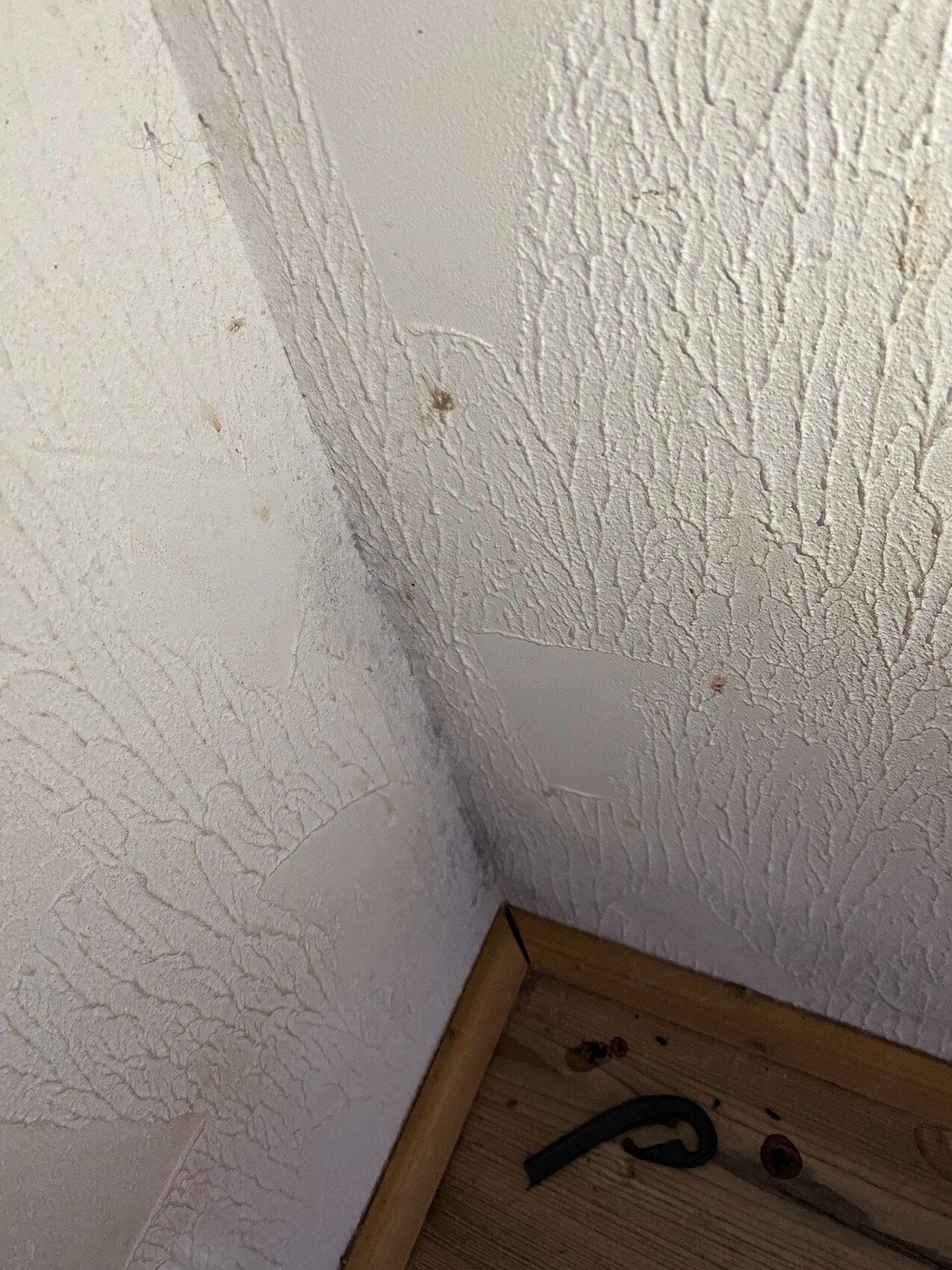 Eckansicht: weiße, stark strukturierte Wände mit Holzfußleiste; schwarzes gebogenes Objekt am Boden.