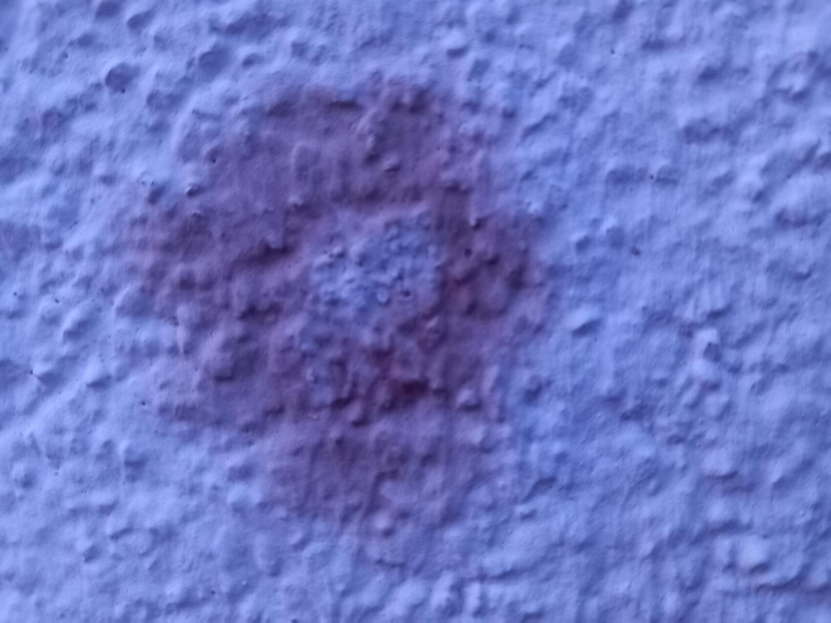 Nahaufnahme einer rauen, texturierten Fläche mit blau-violetter Tönung und dunklem Fleck.