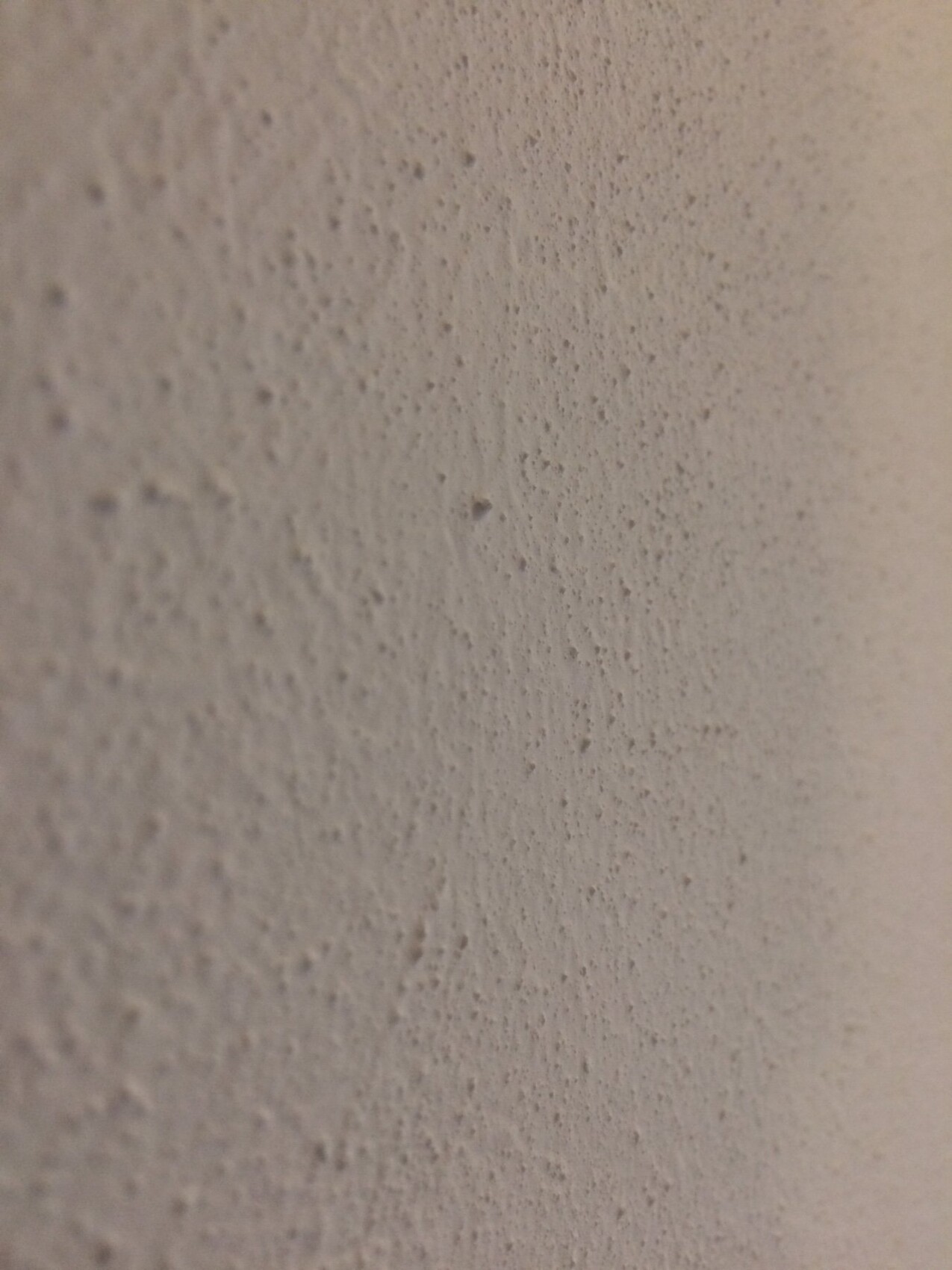 Nahaufnahme einer beigen Putzwand mit körniger, unregelmäßiger Oberfläche.