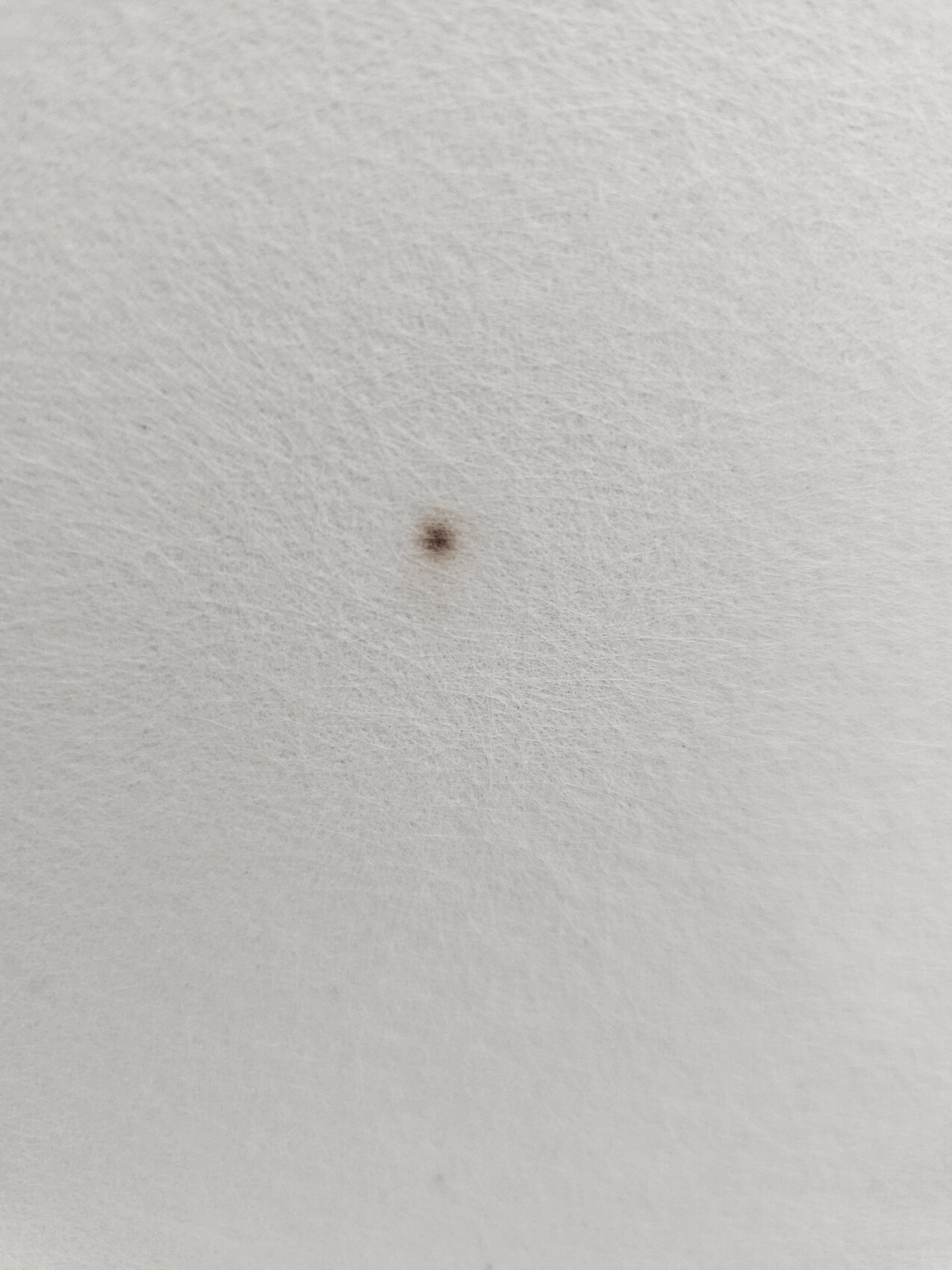Nahaufnahme einer weißen Papieroberfläche mit einem kleinen braunen Fleck.