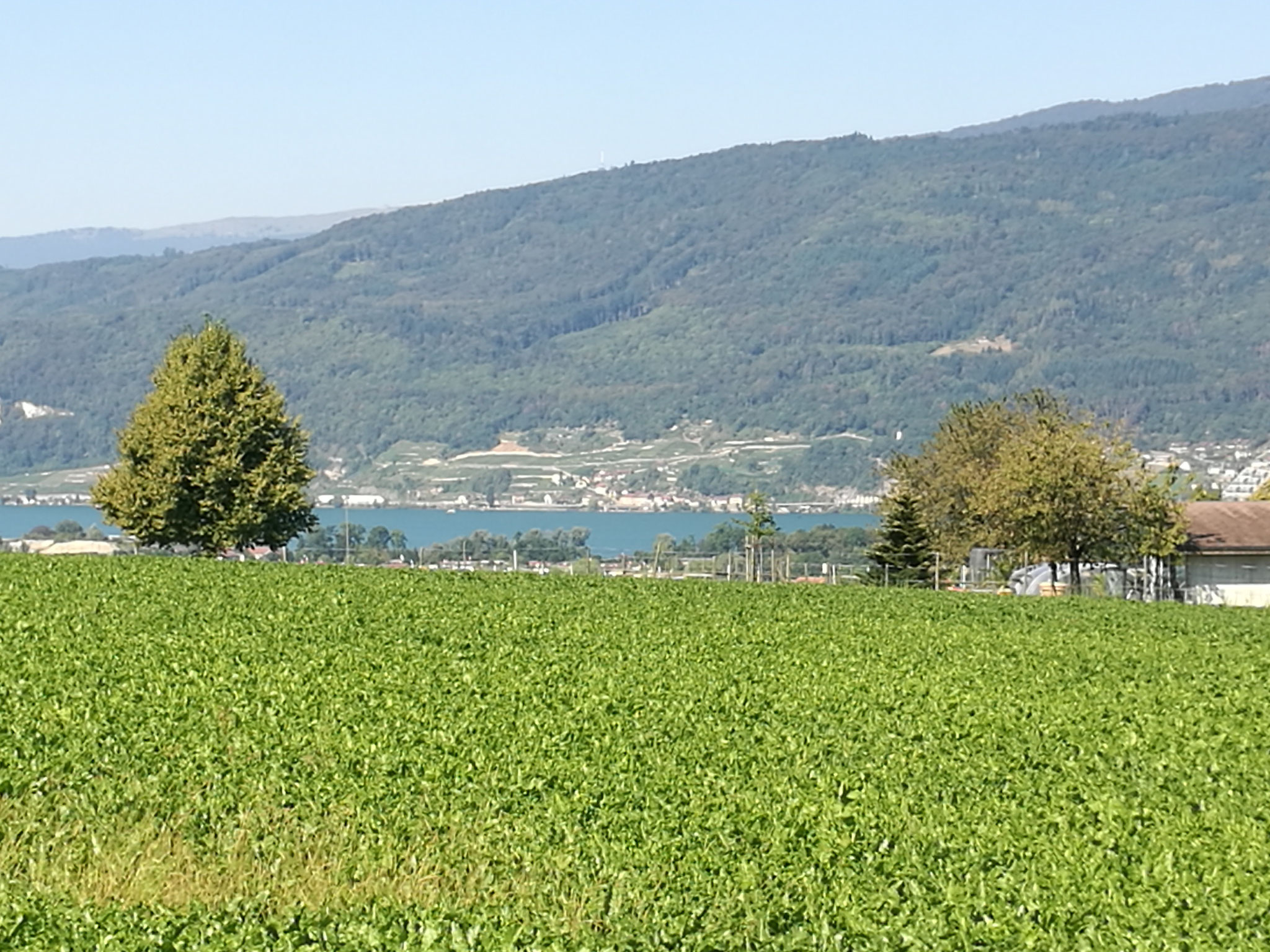 raumeinteilung-eigentumswohnung-180-m2-250075-1.jpg