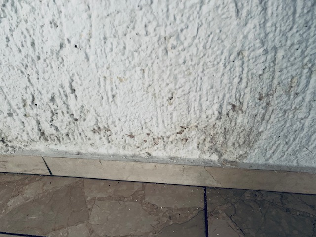 rauputz-innen-loswerden-bestandshaus-458932-1.jpg
