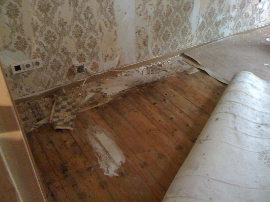 Rohes beschädigtes Zimmer mit abblätternder Tapete, Kabeln und marodem Holzfußboden