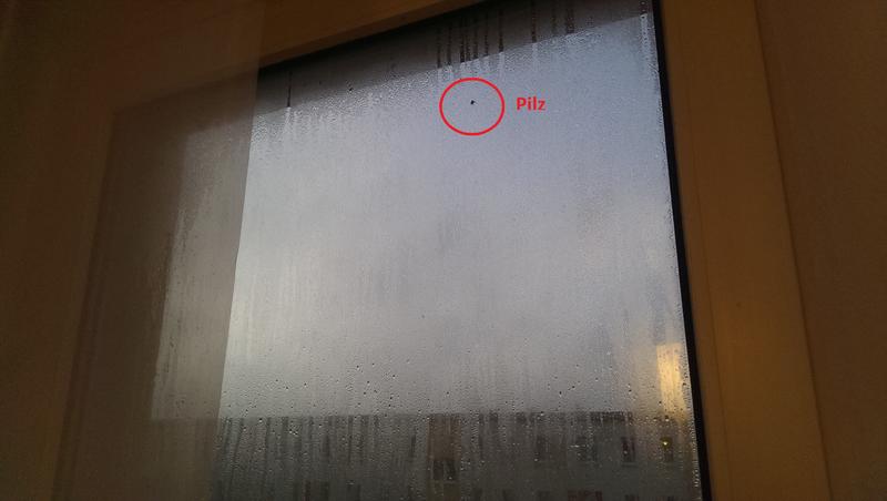 riesiges-problem-mit-dem-kondenswasser-am-fenster-73645-1.jpg