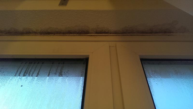 riesiges-problem-mit-dem-kondenswasser-am-fenster-73645-2.jpg