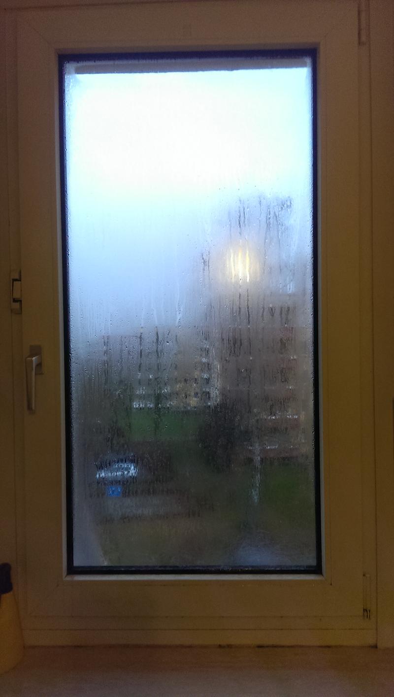 riesiges-problem-mit-dem-kondenswasser-am-fenster-73645-4.jpg