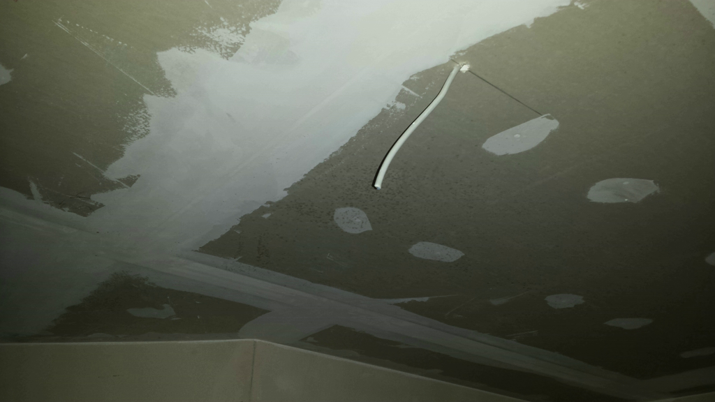 rigipsplatten-schimmel-120293-4.png