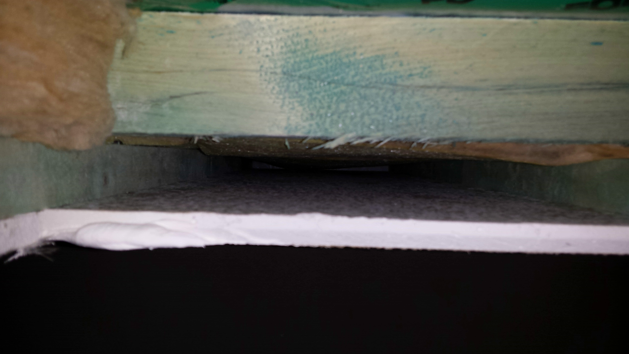 rigipsplatten-schimmel-120413-1.png