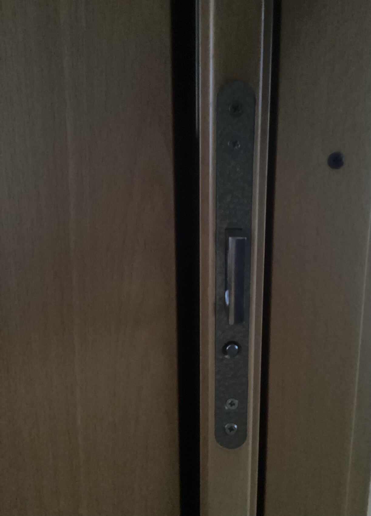 Nahaufnahme eines Türschlosses am Türrahmen, Metallplatte mit Schrauben sichtbar.