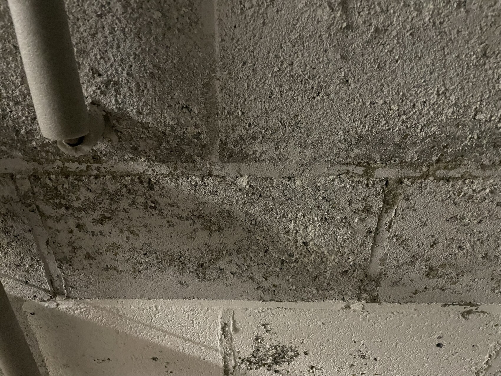 Blick von unten auf eine staubige Betondecke mit einer vertikalen Rohrleitung.