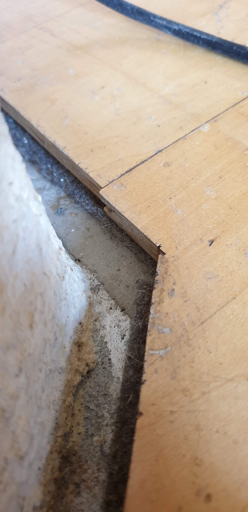 Holzboden mit schmalem Spalt, Staub und Spinnweben; darunter Betonwand, schwarzes Kabel liegt darüber.