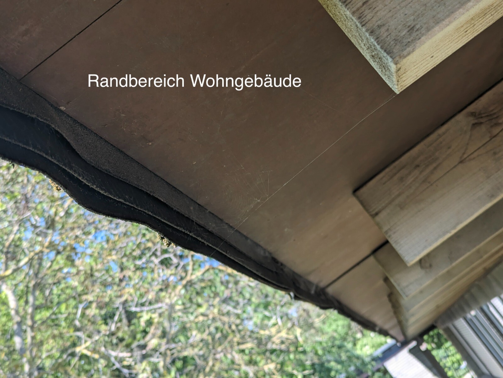 Rohbau am Dachrand eines Wohngebäudes: Holzplatten und Balken sichtbar.