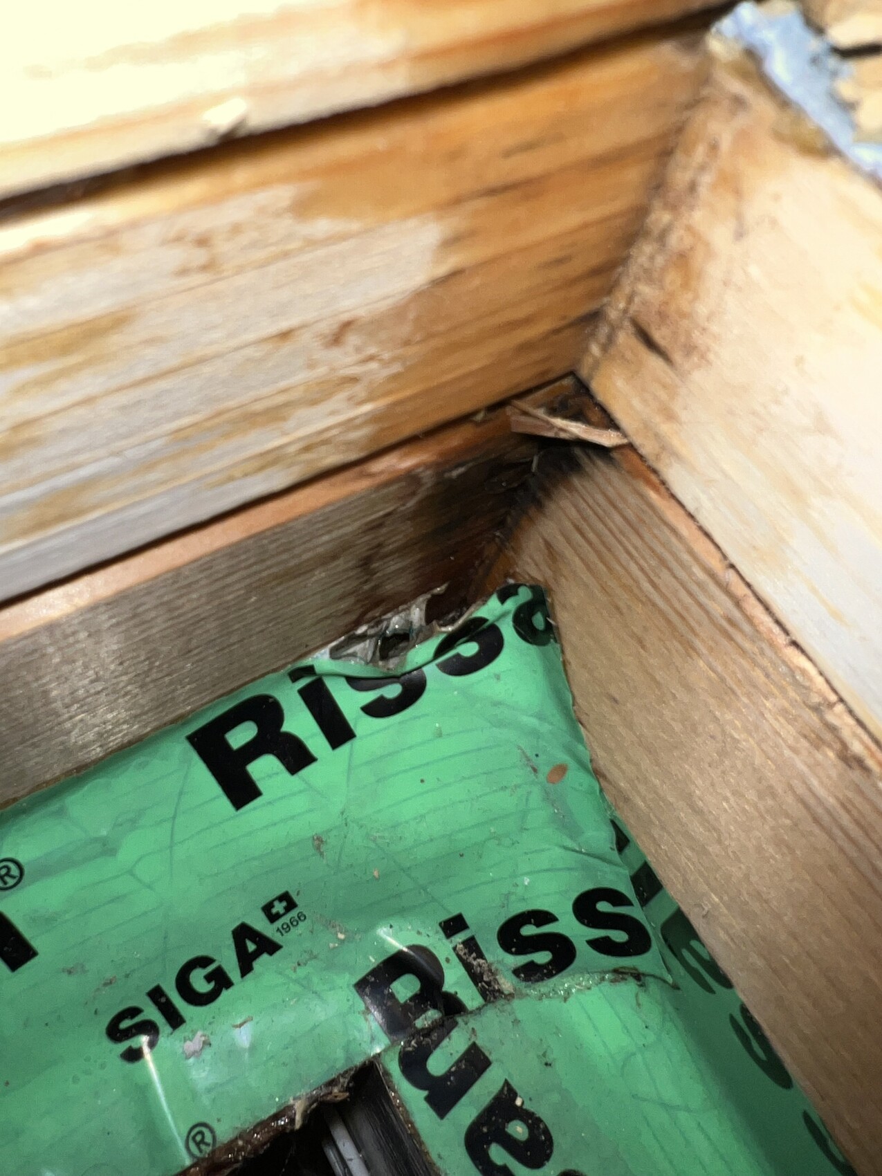 Rohbau-Ecke mit Holzrahmen und grüner Dämmstoffverpackung SIGA