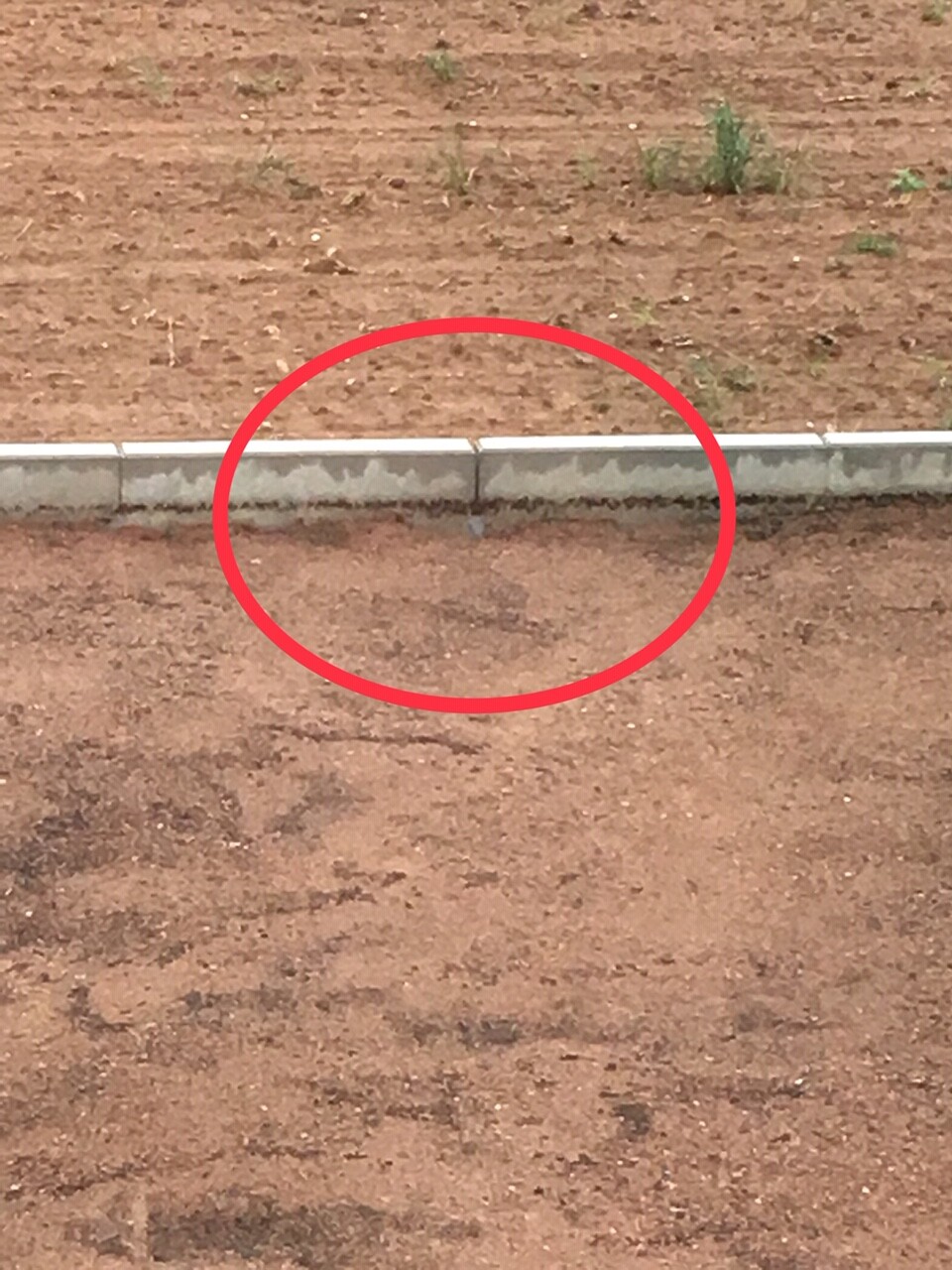 Roter Boden mit grauer Betonkante; eine kleine blaue Flasche liegt am Fuß der Kante.