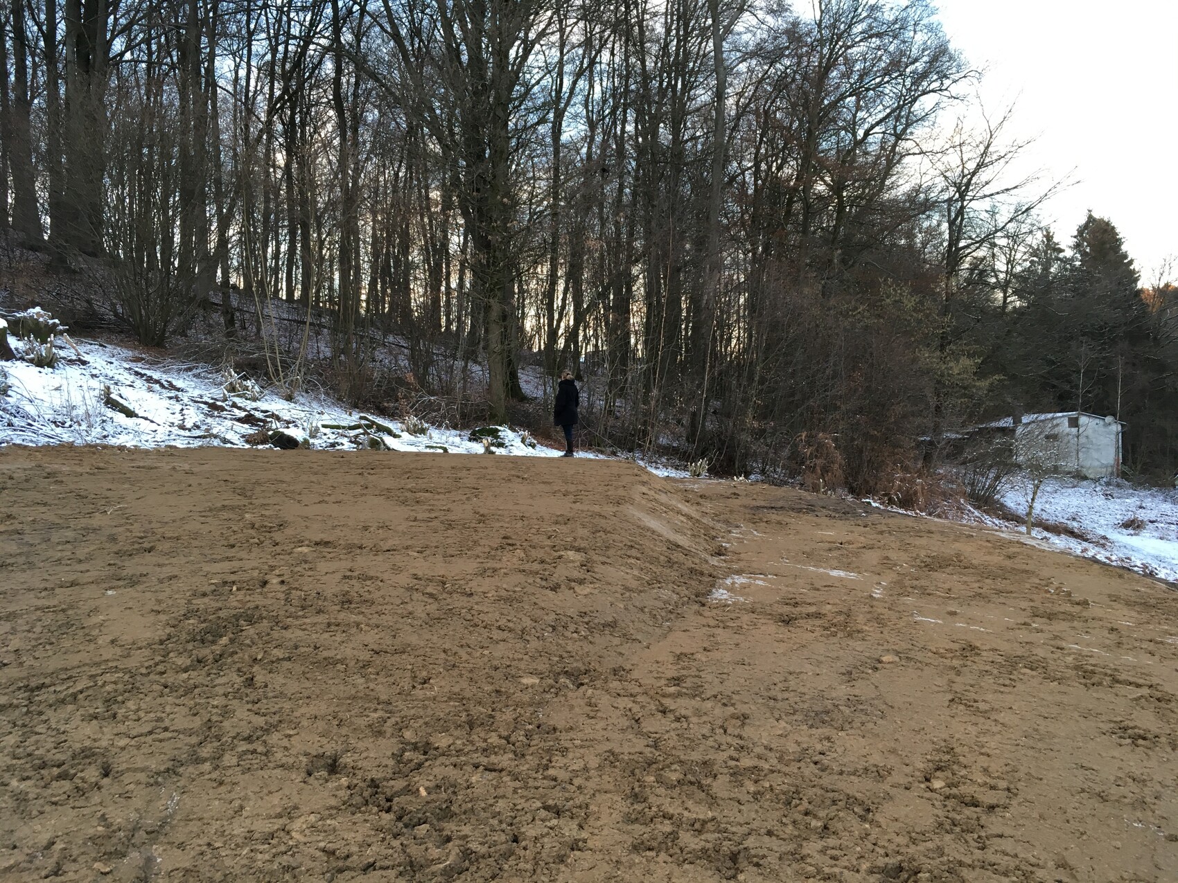 Baustelle im Wald mit freigelegtem Erdreich, Schnee am Rand und einer Person.