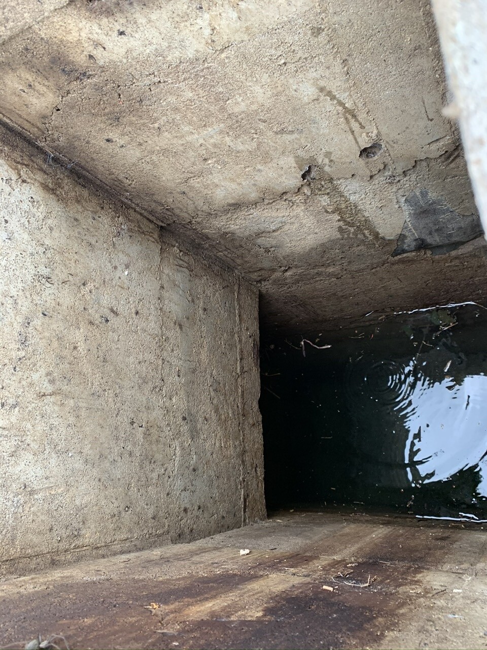 Offener rechteckiger Betontrog mit dunklem Wasser am Boden und rauer Betonwand.