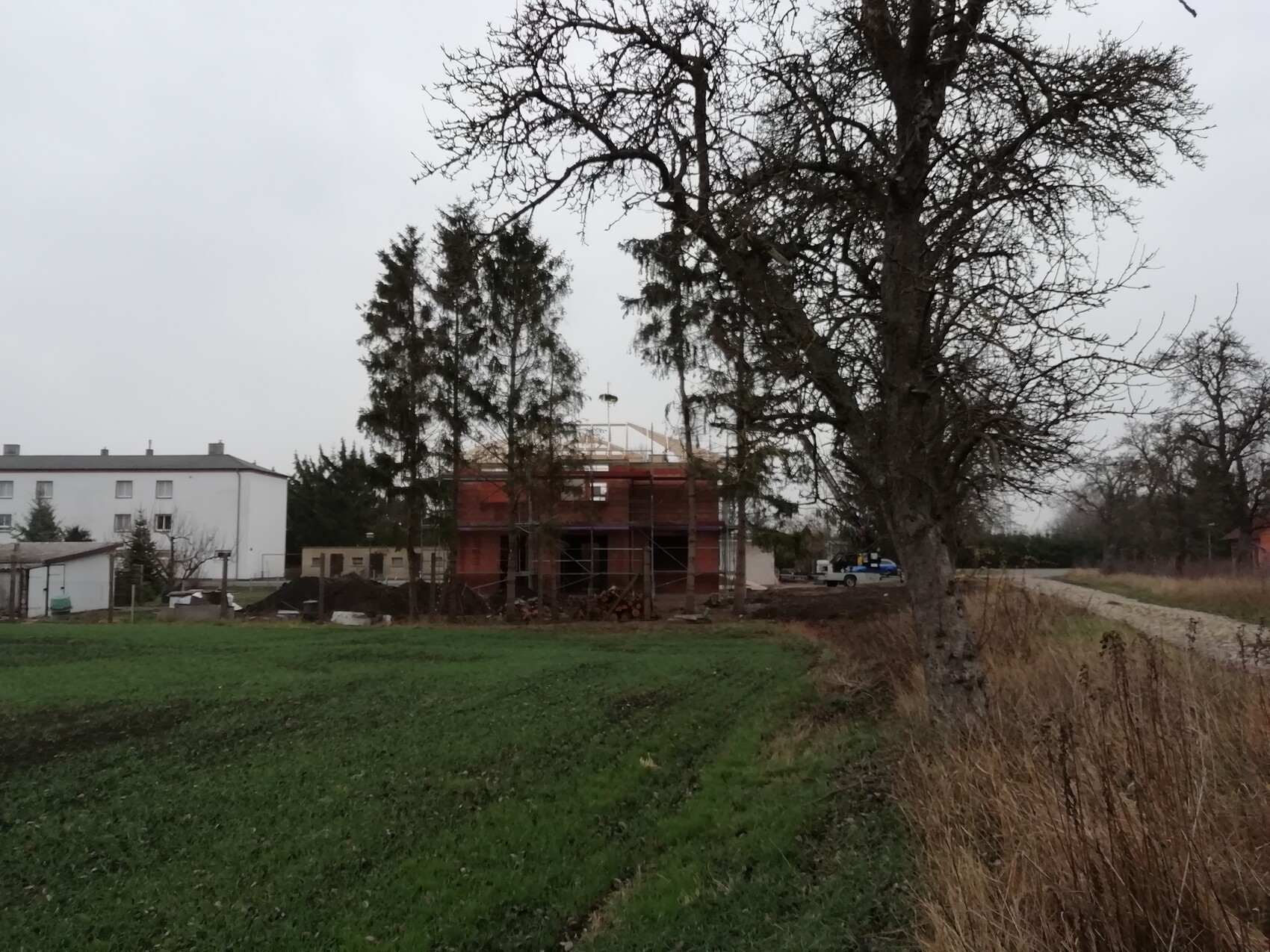Bau eines roten, gerüsteten Hauses auf Feld, rechts stehender kahler Baum, links weißes Gebäude.