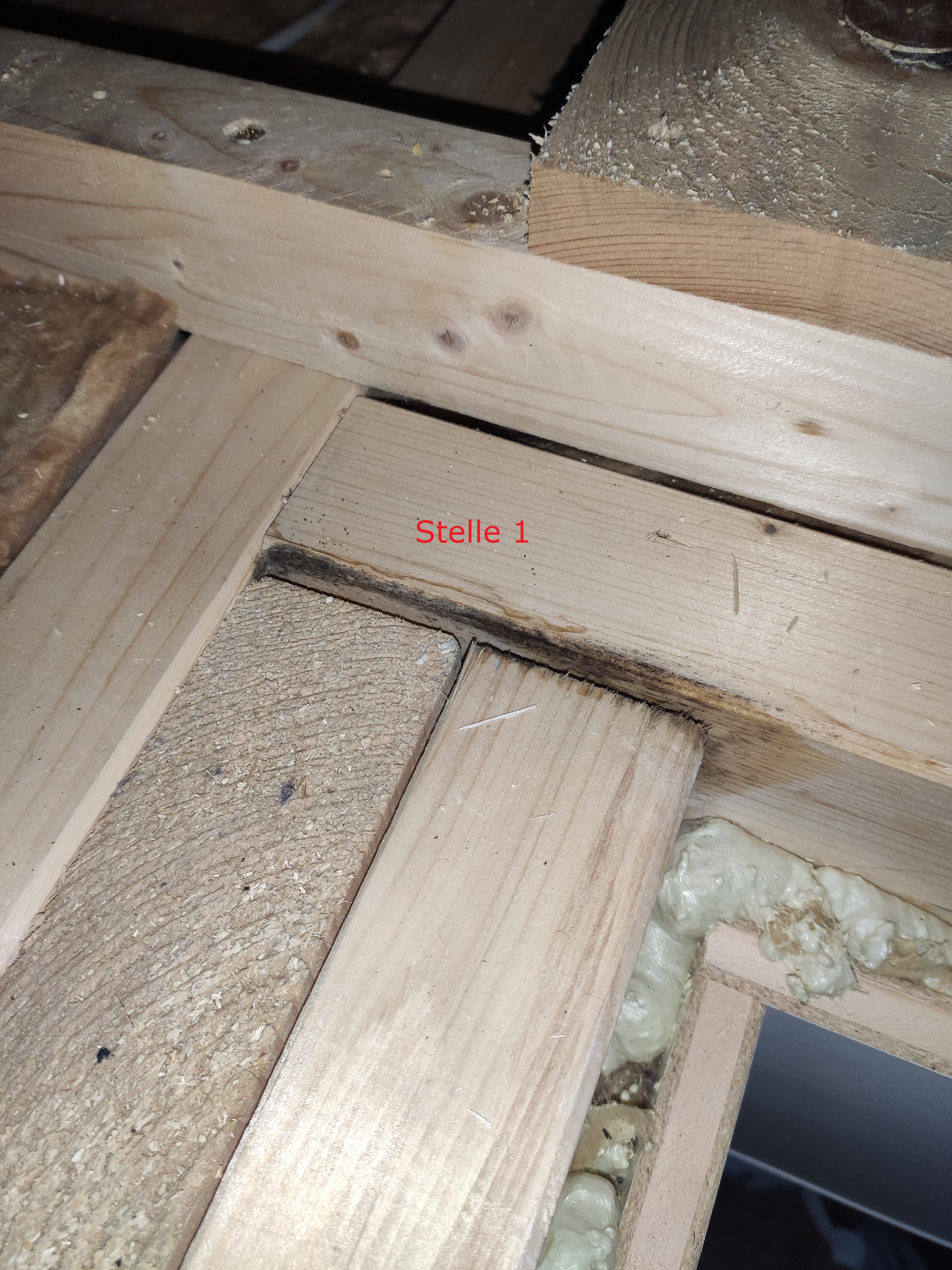 rohbau-holzbau-bodenkonstruktion-dielen-framing.jpg