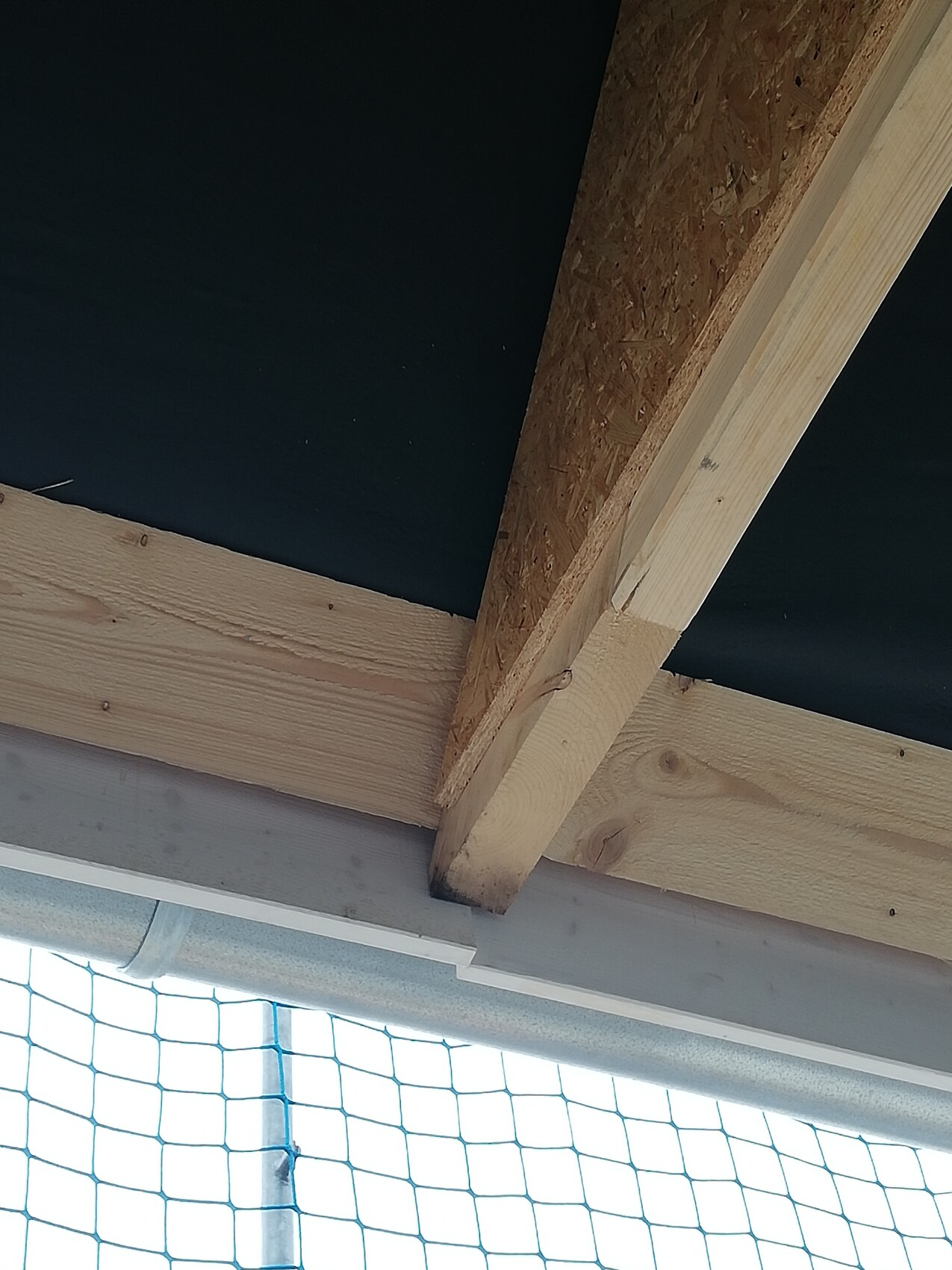 Holzträgerbau mit OSB-Platte, diagonalem Balkenverbund, blauem Baugerüstnetz unten.