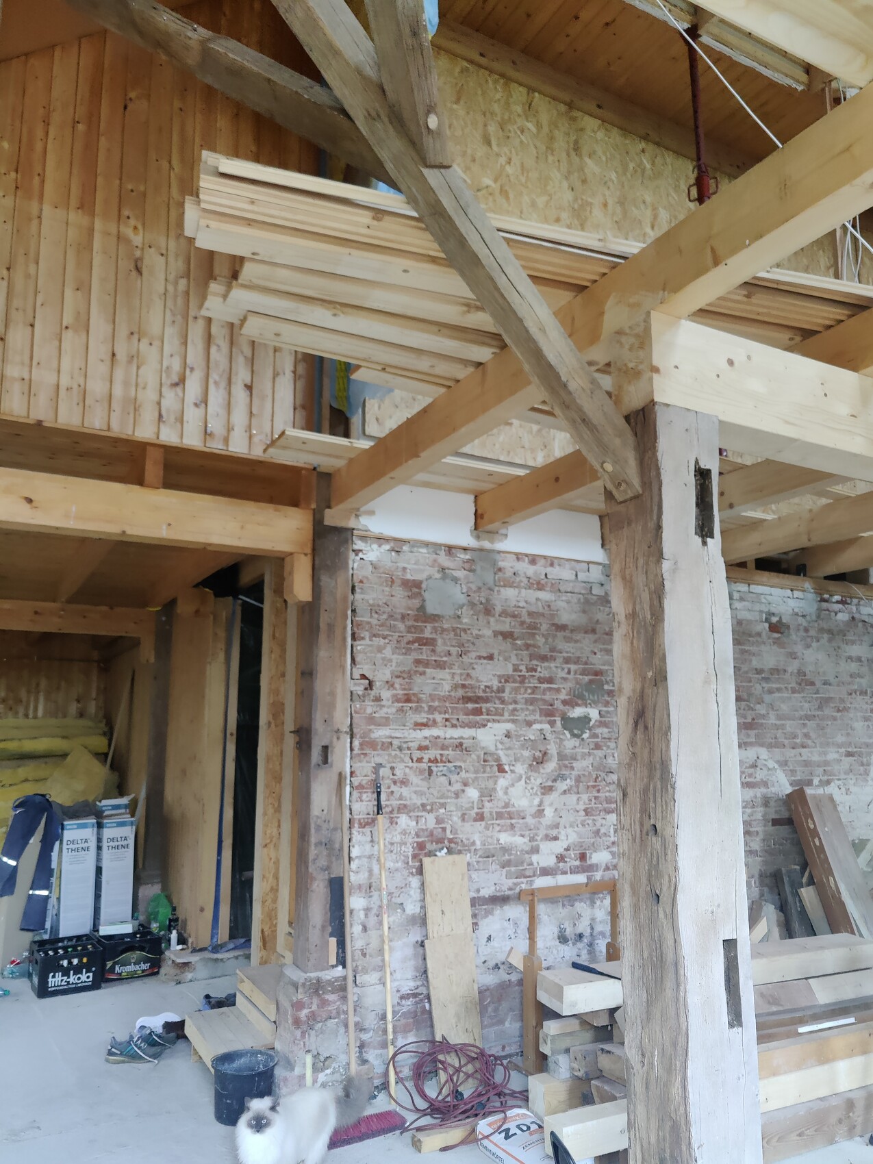 Baustelleninneres mit Holzbalken, Bretterstapeln und Backsteinwand; eine Katze im Vordergrund.