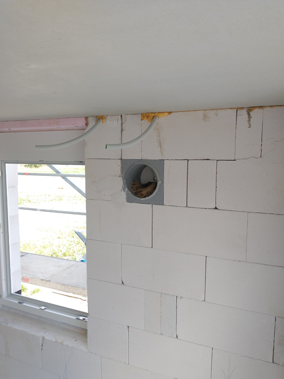rohbau-innenwand-leichtbetonblöcke-unverputzt-ventilationsrohr-vogelnest.jpg