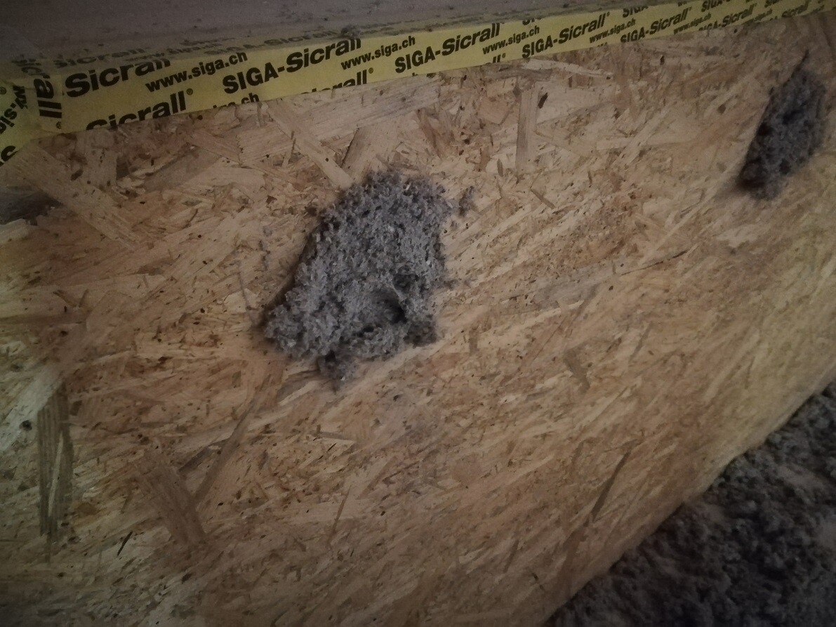 Grauer Zement- oder Mörtelklumpen auf OSB-Holzplatte neben gelbem Bauband.