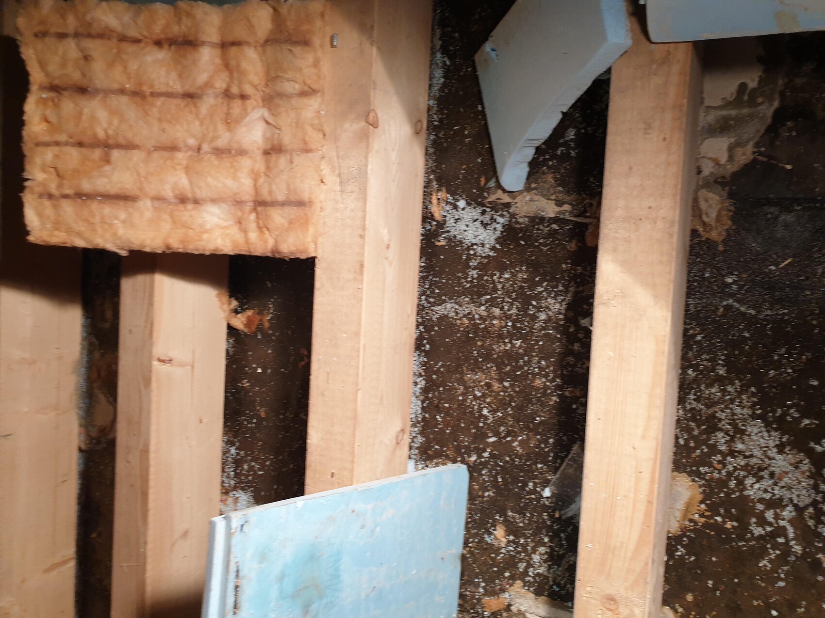 Rohbau mit Holzständern, Dämmmaterial und blauer Bauplatte sichtbar