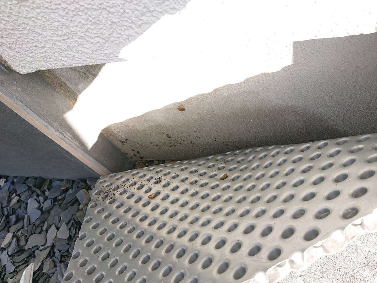 Außenansicht: perforierte Metallstufe neben rauer weißer Wand; Kies liegt daneben.