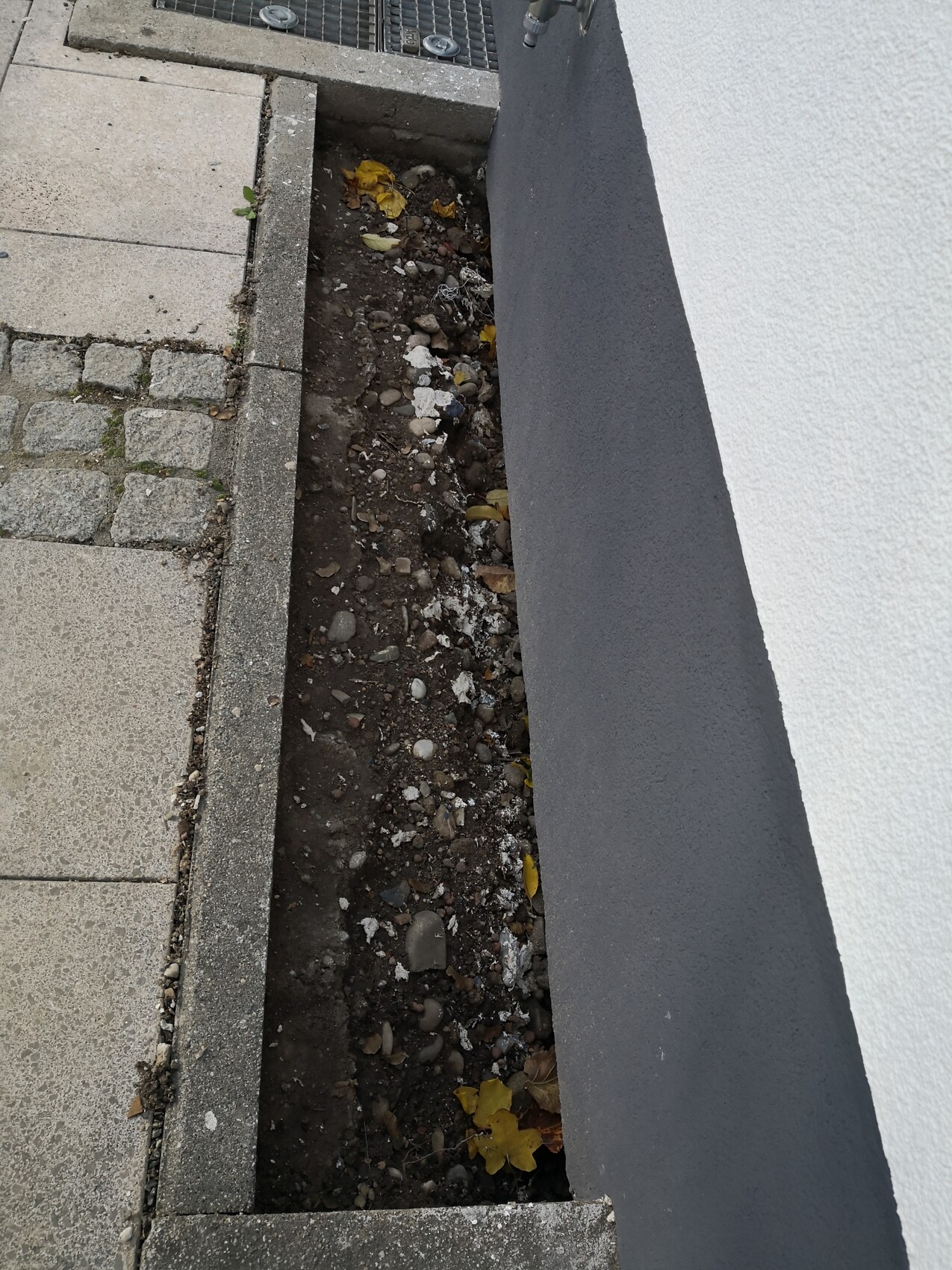 Schmaler Erd- und Kiesstreifen neben grauer Wand, mit Erde, Steinen und Herbstlaub.