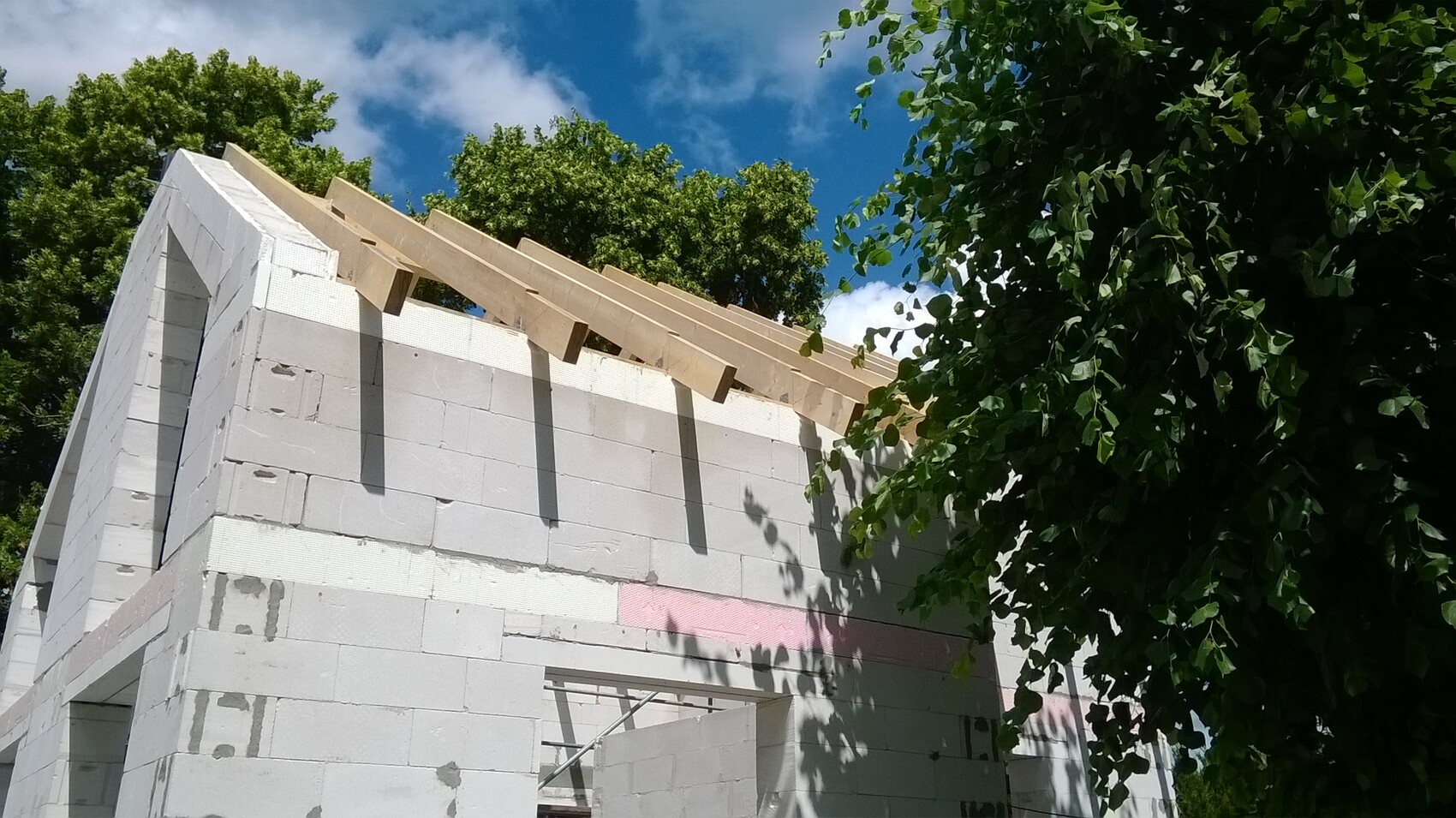 Rohbau aus weißen Betonblöcken mit Holzdachkonstruktion, von Bäumen umgeben und blauem Himmel.