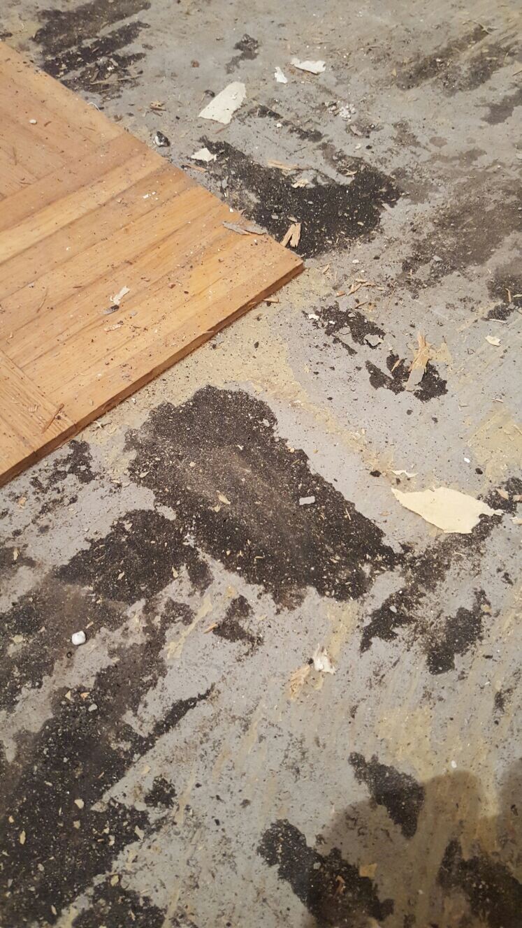 Holzplatte liegt auf verschmutztem Betonboden mit schwarzen Ölflecken und Holzschnipseln.