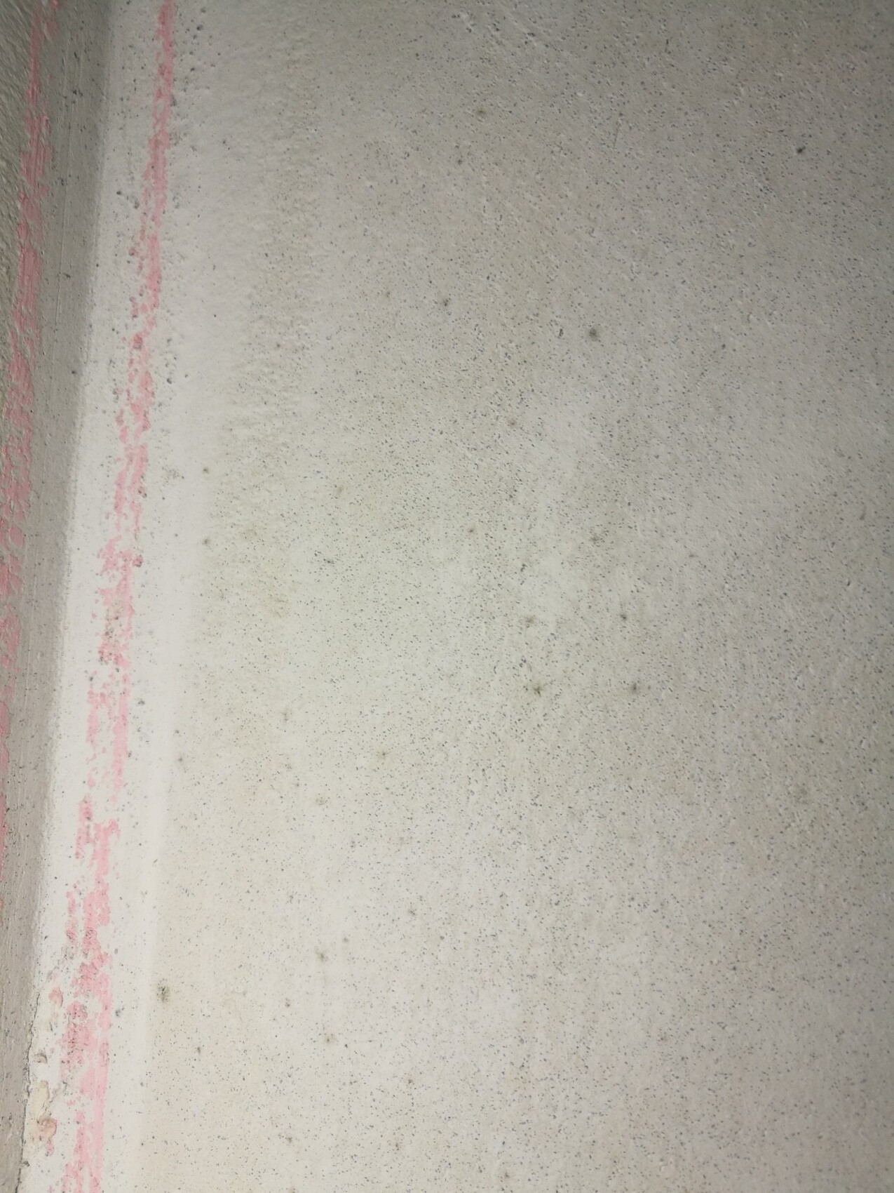 Grob verputzte Betonwand im Rohbau mit pinker Markierungsleiste links.